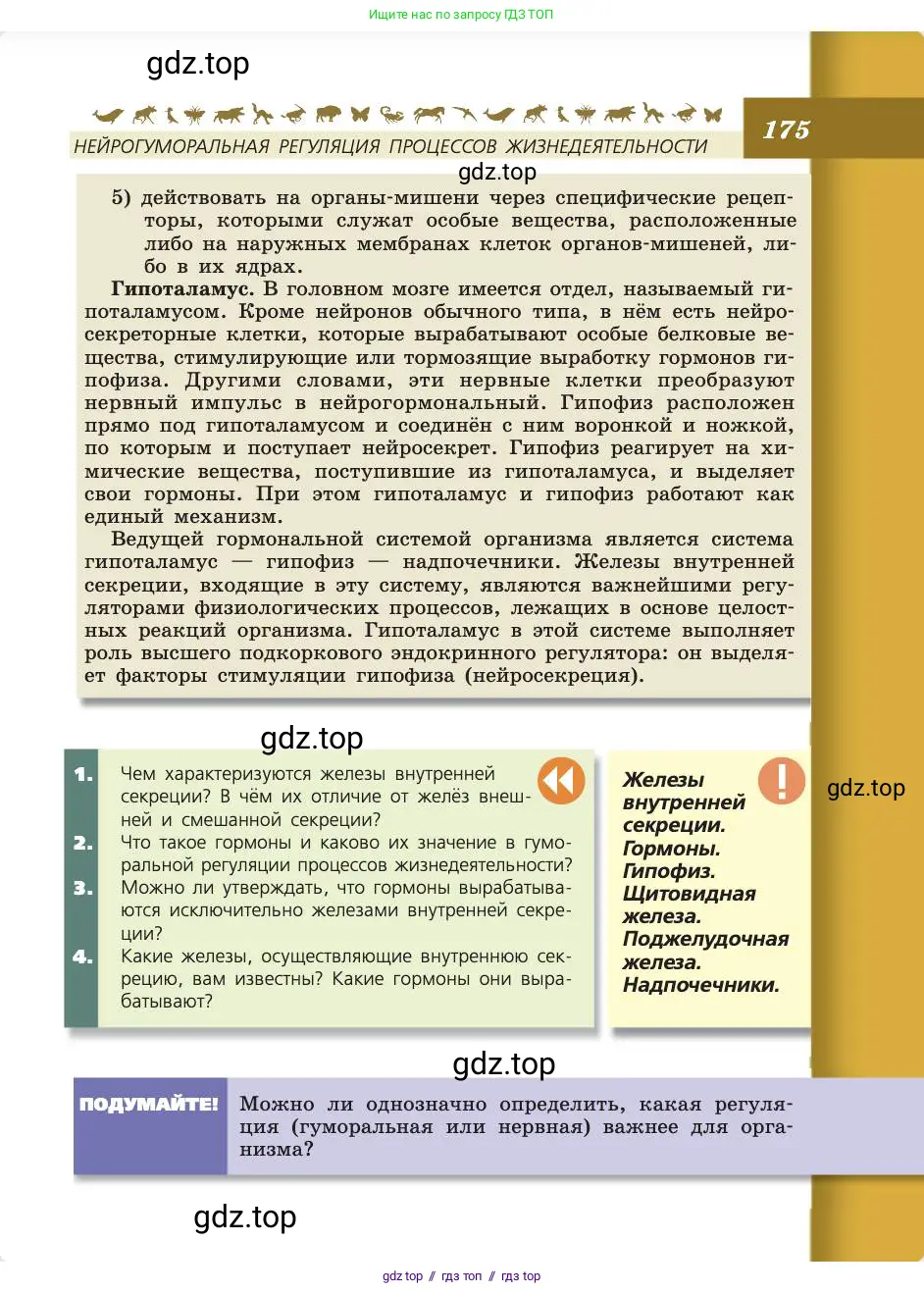 Биология, 8 класс Учебник, авторы: Пасечник Владимир Васильевич, Каменский Андрей Александрович, Швецов Глеб Геннадьевич, издательство Просвещение, Москва, 2019, страница 175