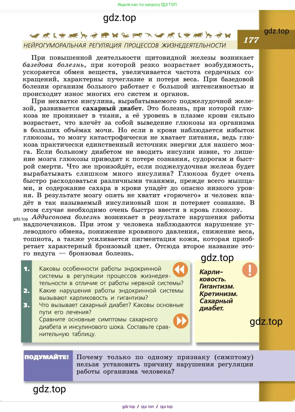 Биология, 8 класс Учебник, авторы: Пасечник Владимир Васильевич, Каменский Андрей Александрович, Швецов Глеб Геннадьевич, издательство Просвещение, Москва, 2019, страница 177
