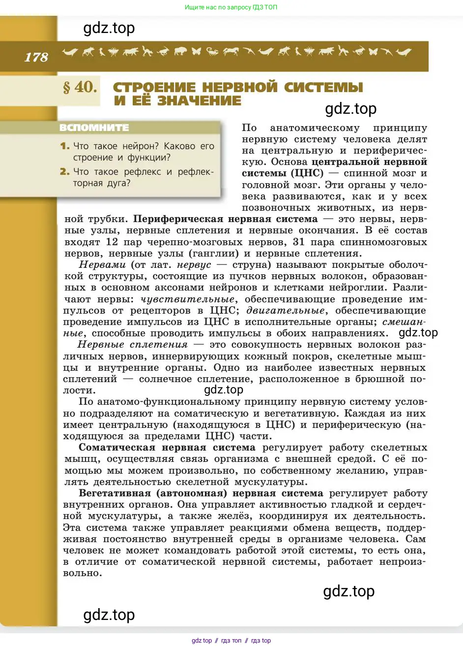 Биология, 8 класс Учебник, авторы: Пасечник Владимир Васильевич, Каменский Андрей Александрович, Швецов Глеб Геннадьевич, издательство Просвещение, Москва, 2019, страница 178