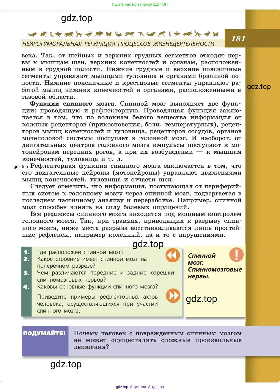 Биология, 8 класс Учебник, авторы: Пасечник Владимир Васильевич, Каменский Андрей Александрович, Швецов Глеб Геннадьевич, издательство Просвещение, Москва, 2019, страница 181