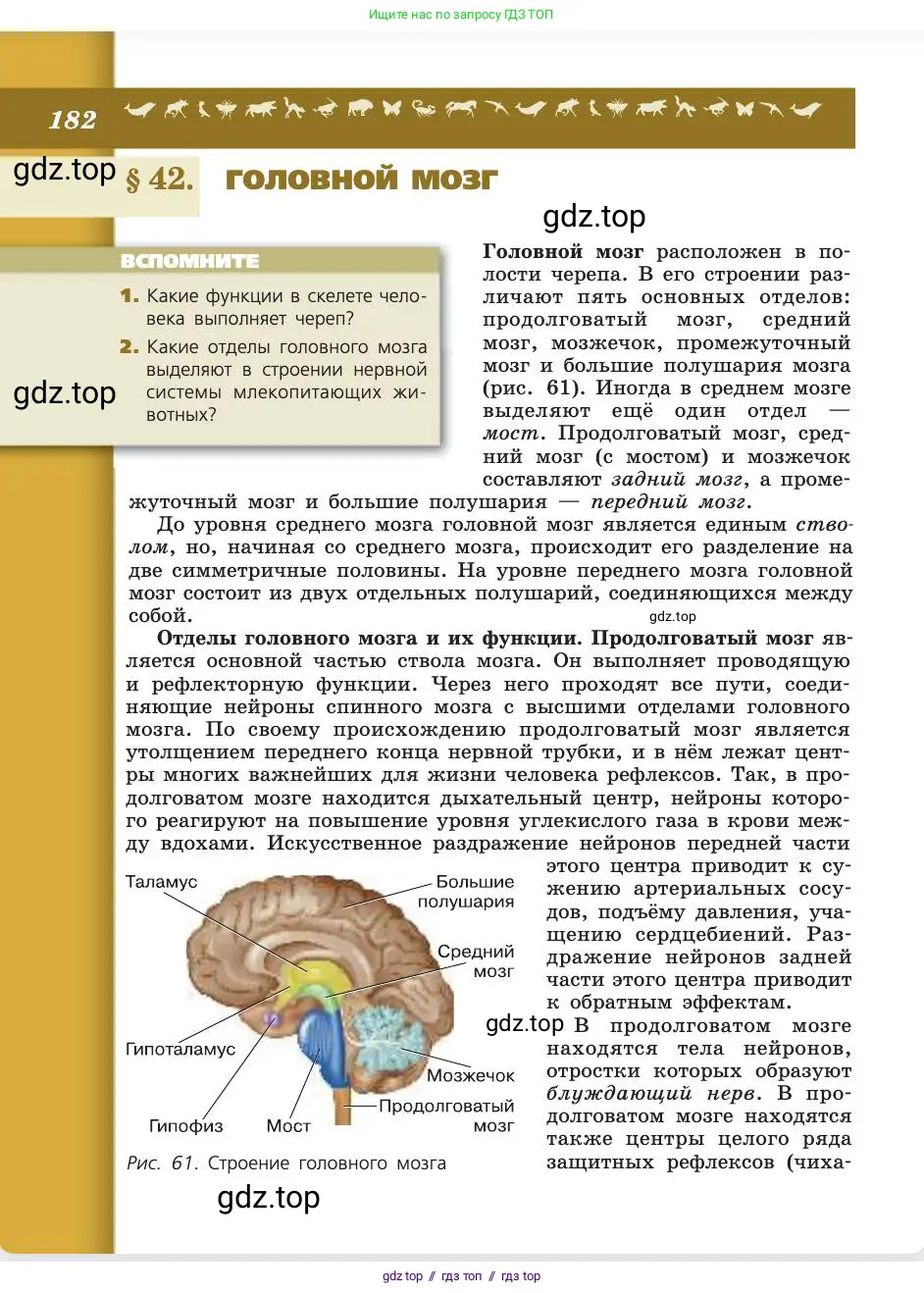 Биология, 8 класс Учебник, авторы: Пасечник Владимир Васильевич, Каменский Андрей Александрович, Швецов Глеб Геннадьевич, издательство Просвещение, Москва, 2019, страница 182