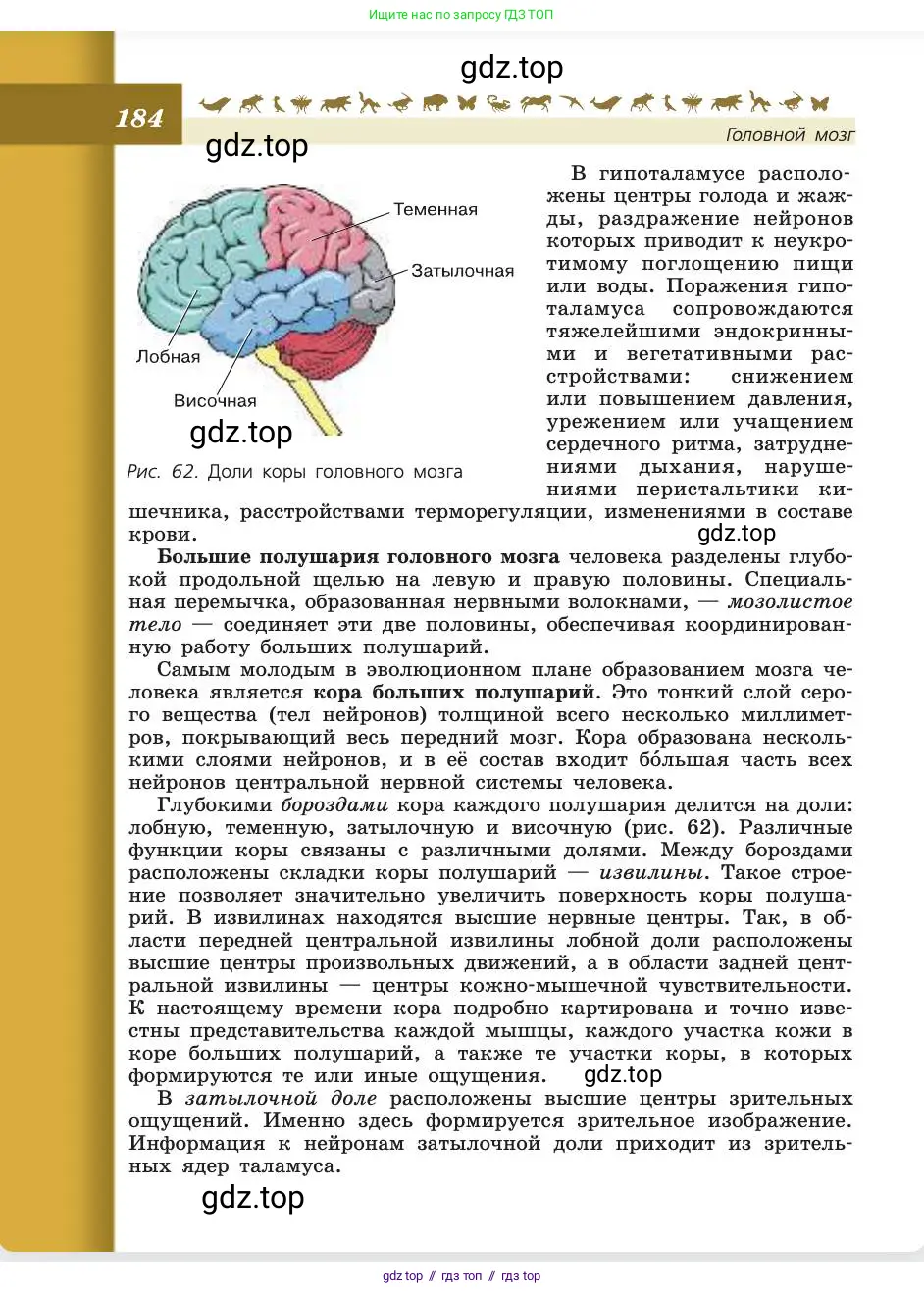 Биология, 8 класс Учебник, авторы: Пасечник Владимир Васильевич, Каменский Андрей Александрович, Швецов Глеб Геннадьевич, издательство Просвещение, Москва, 2019, страница 184