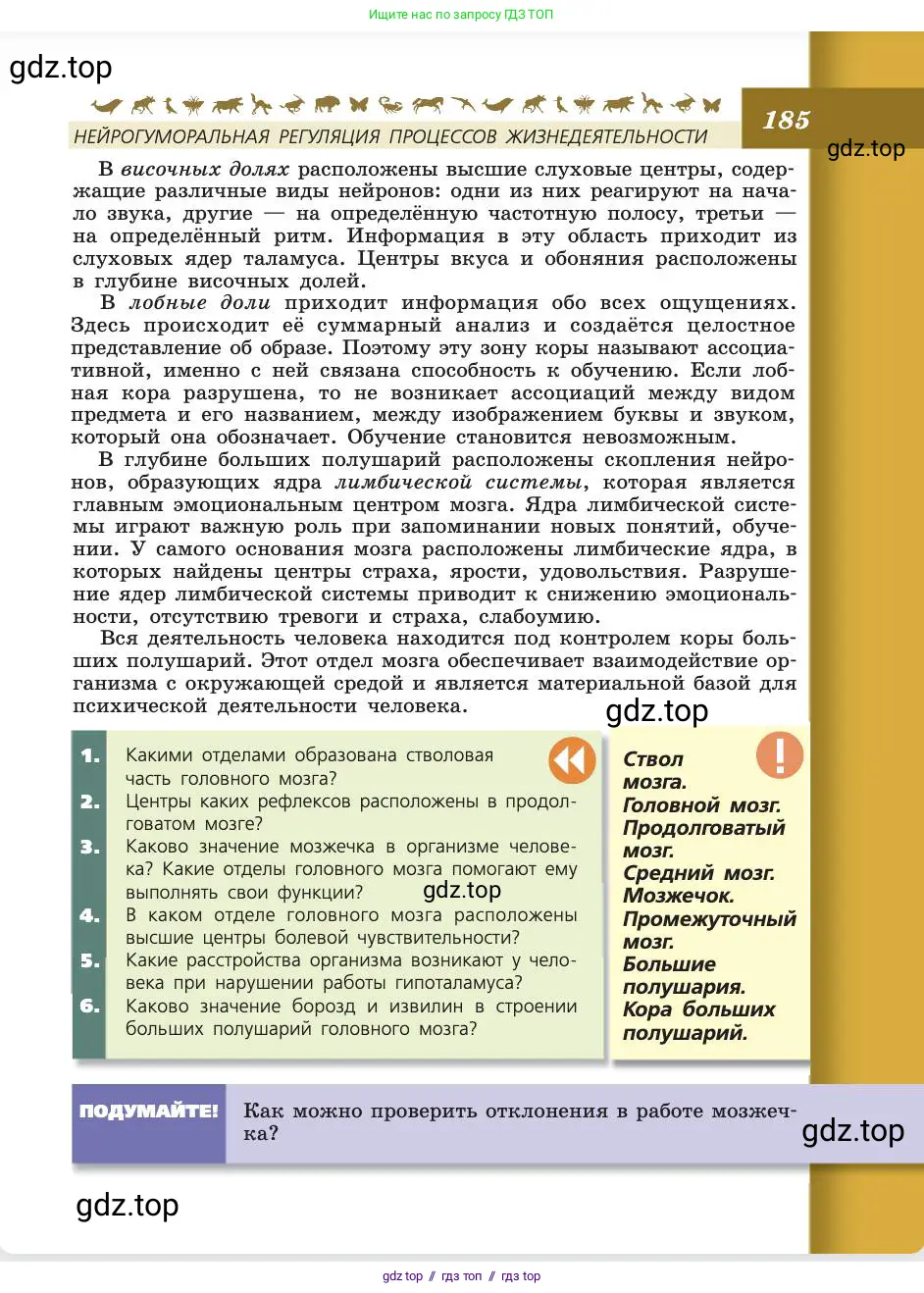 Биология, 8 класс Учебник, авторы: Пасечник Владимир Васильевич, Каменский Андрей Александрович, Швецов Глеб Геннадьевич, издательство Просвещение, Москва, 2019, страница 185