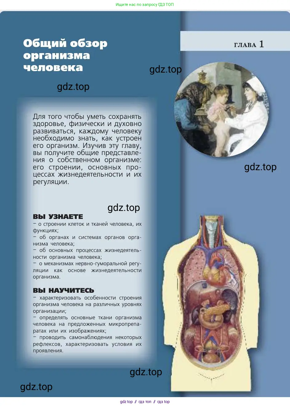 Биология, 8 класс Учебник, авторы: Пасечник Владимир Васильевич, Каменский Андрей Александрович, Швецов Глеб Геннадьевич, издательство Просвещение, Москва, 2019, страница 19