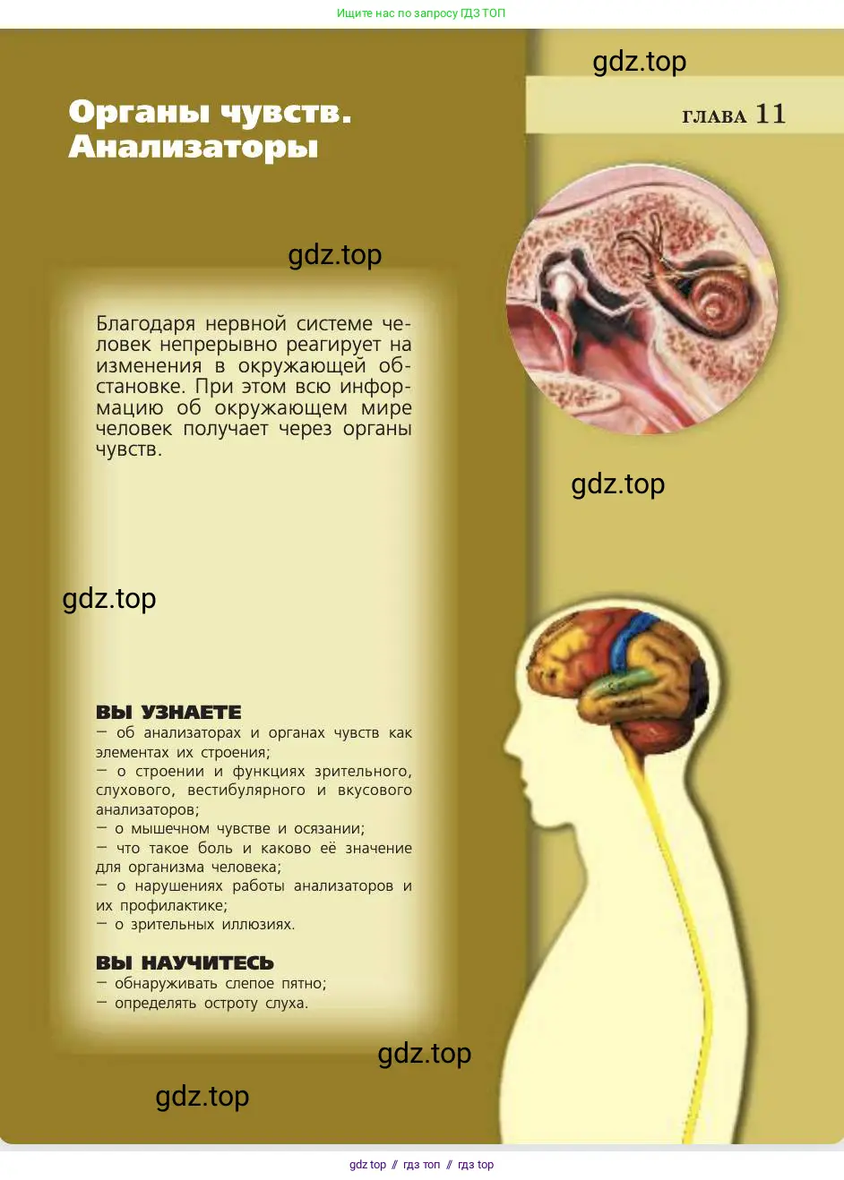 Биология, 8 класс Учебник, авторы: Пасечник Владимир Васильевич, Каменский Андрей Александрович, Швецов Глеб Геннадьевич, издательство Просвещение, Москва, 2019, страница 193