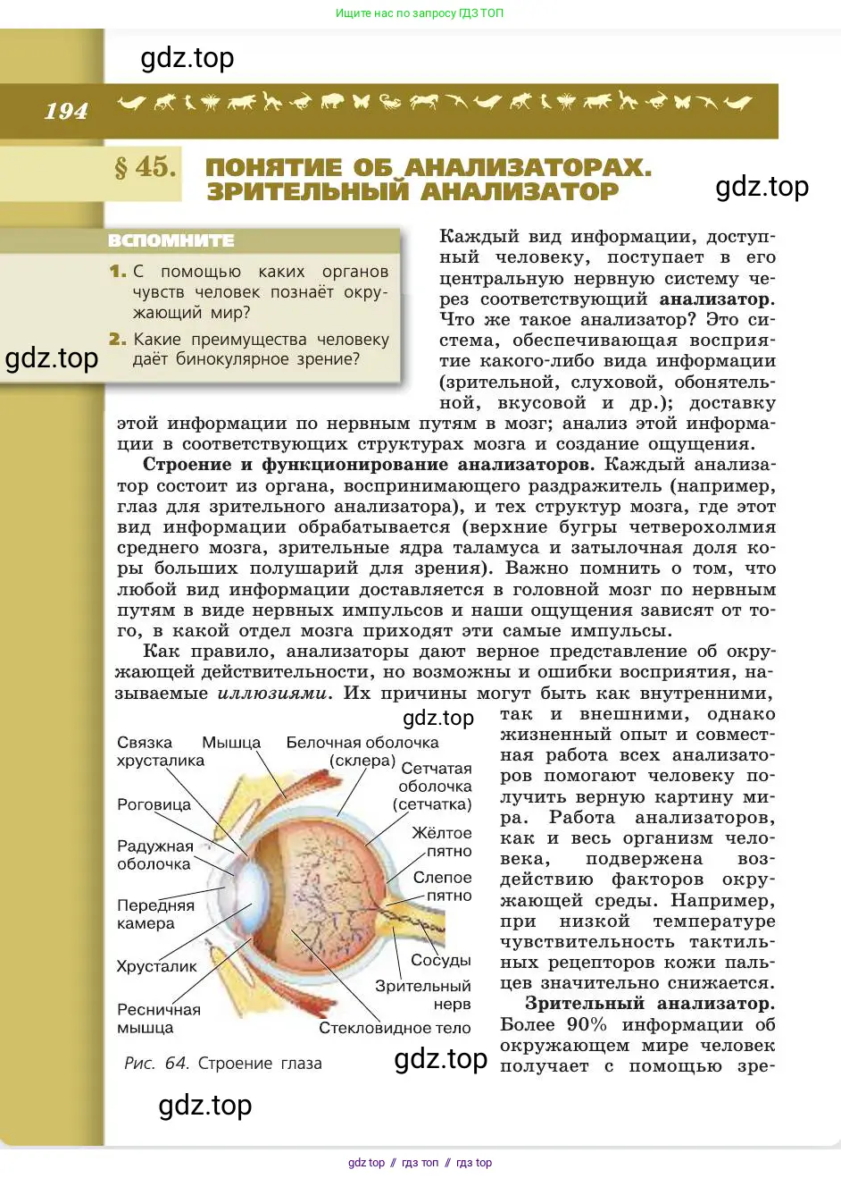 Биология, 8 класс Учебник, авторы: Пасечник Владимир Васильевич, Каменский Андрей Александрович, Швецов Глеб Геннадьевич, издательство Просвещение, Москва, 2019, страница 194