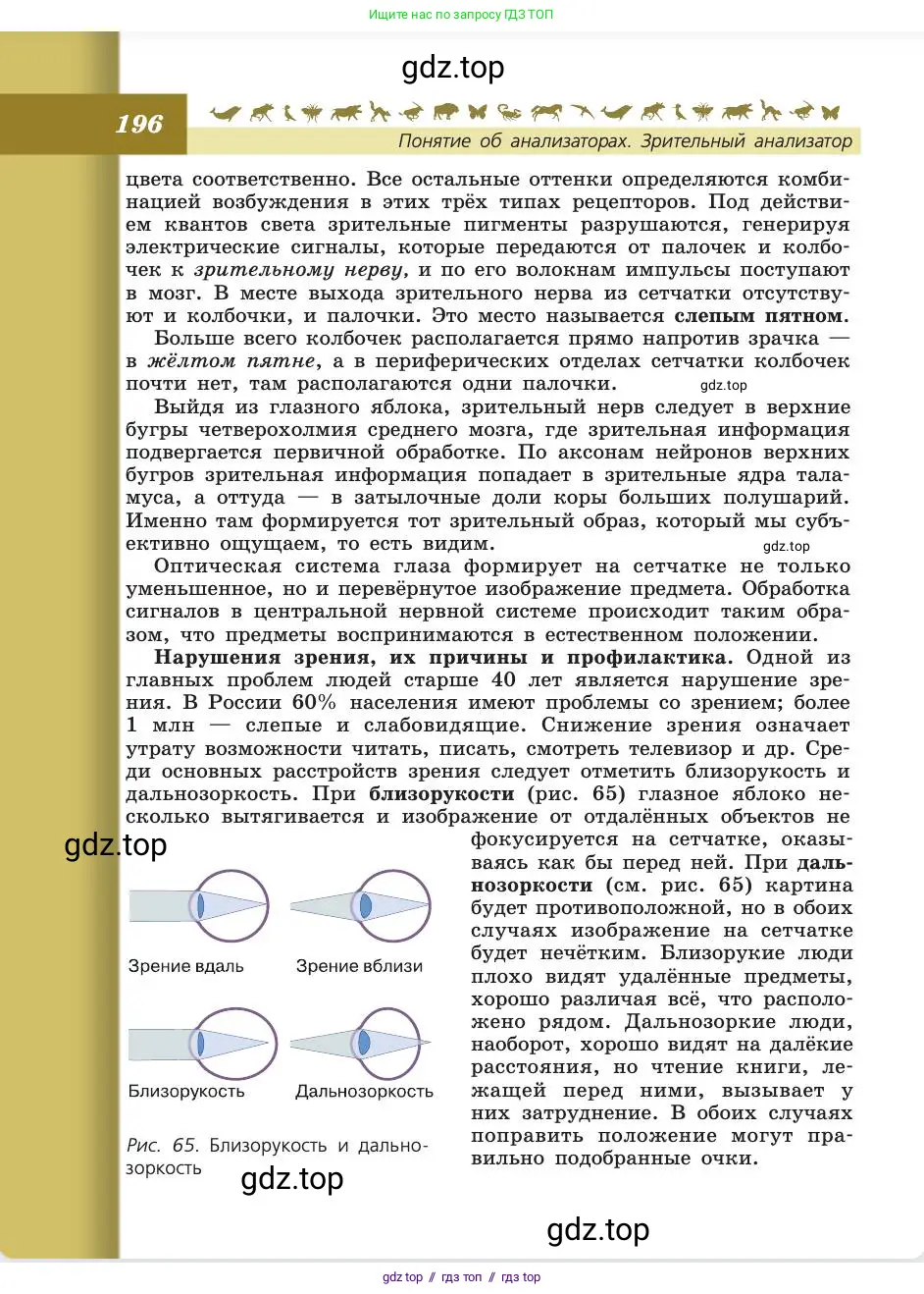 Биология, 8 класс Учебник, авторы: Пасечник Владимир Васильевич, Каменский Андрей Александрович, Швецов Глеб Геннадьевич, издательство Просвещение, Москва, 2019, страница 196