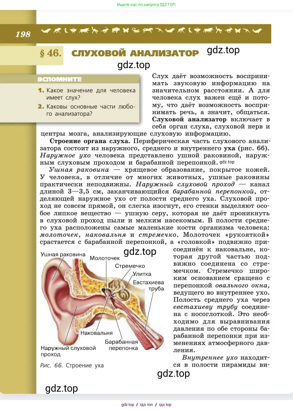 Биология, 8 класс Учебник, авторы: Пасечник Владимир Васильевич, Каменский Андрей Александрович, Швецов Глеб Геннадьевич, издательство Просвещение, Москва, 2019, страница 198