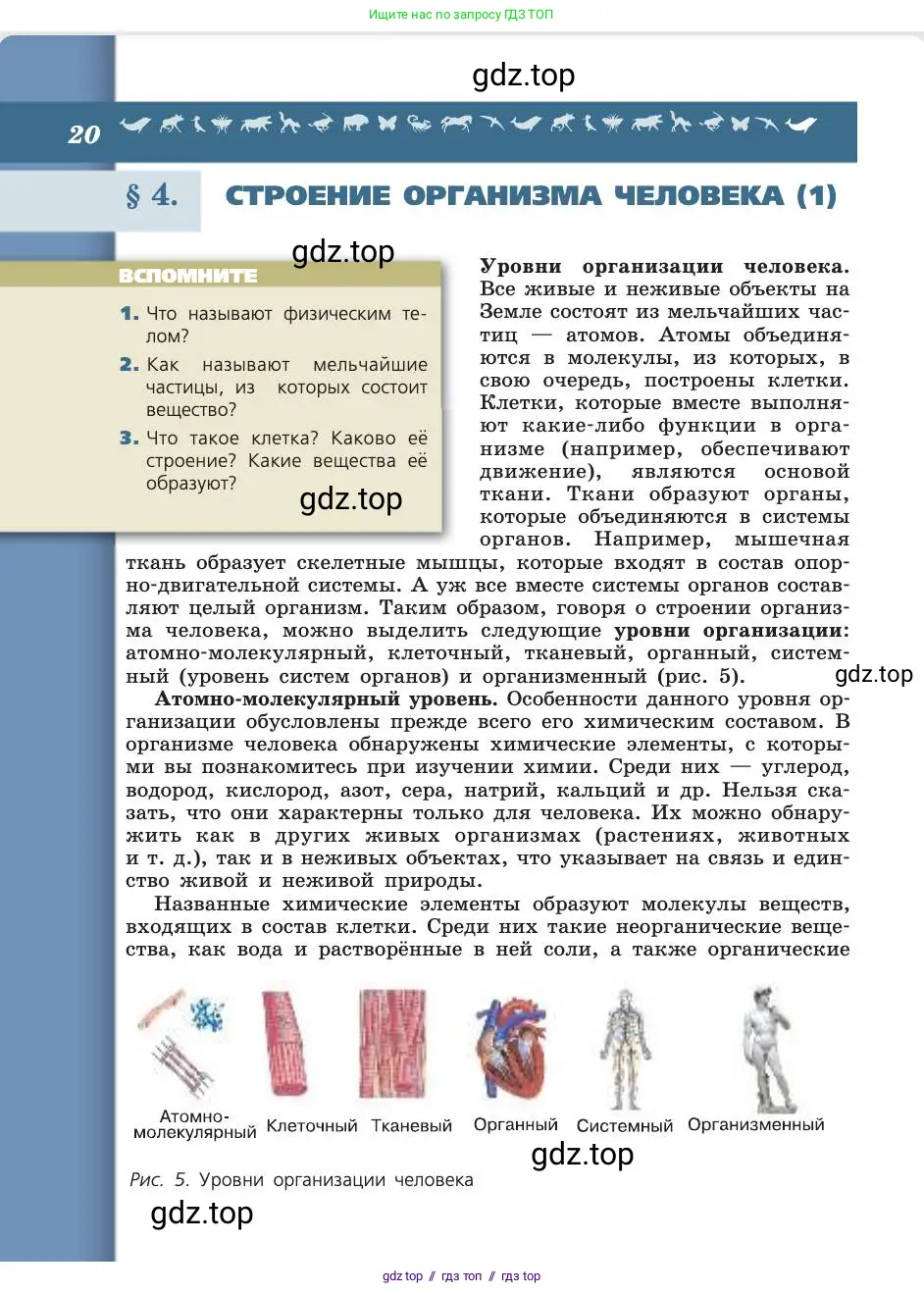 Биология, 8 класс Учебник, авторы: Пасечник Владимир Васильевич, Каменский Андрей Александрович, Швецов Глеб Геннадьевич, издательство Просвещение, Москва, 2019, страница 20