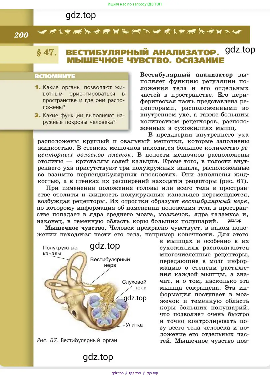 Биология, 8 класс Учебник, авторы: Пасечник Владимир Васильевич, Каменский Андрей Александрович, Швецов Глеб Геннадьевич, издательство Просвещение, Москва, 2019, страница 200