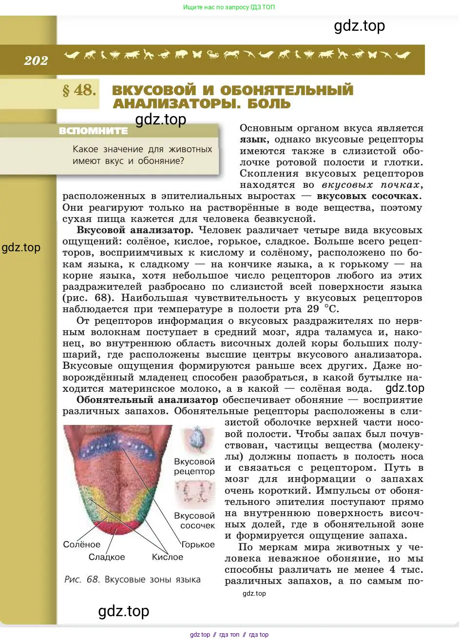 Биология, 8 класс Учебник, авторы: Пасечник Владимир Васильевич, Каменский Андрей Александрович, Швецов Глеб Геннадьевич, издательство Просвещение, Москва, 2019, страница 202