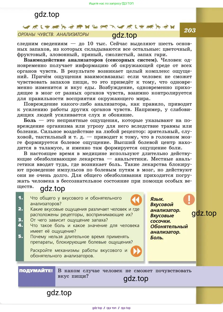 Биология, 8 класс Учебник, авторы: Пасечник Владимир Васильевич, Каменский Андрей Александрович, Швецов Глеб Геннадьевич, издательство Просвещение, Москва, 2019, страница 203