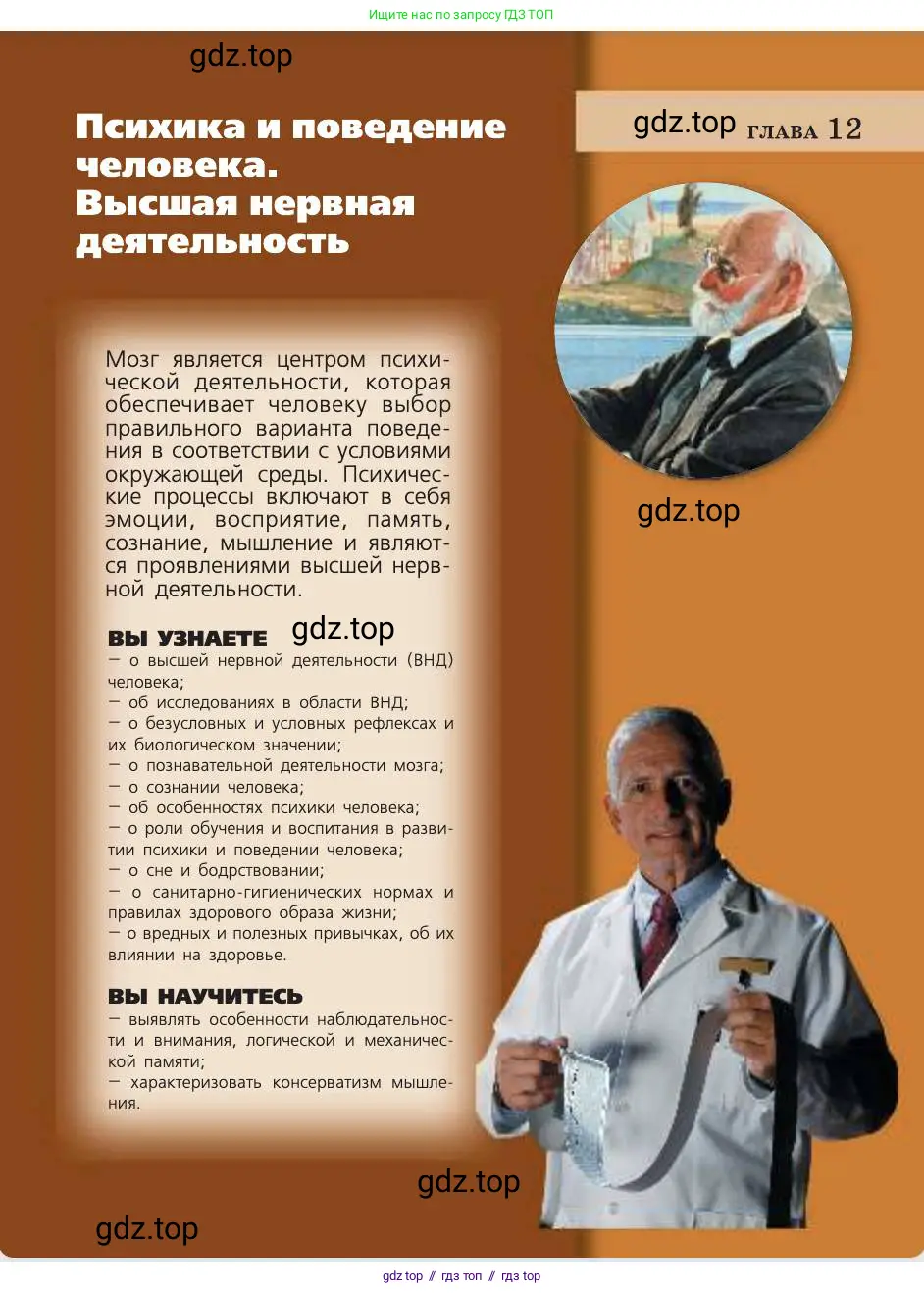 Биология, 8 класс Учебник, авторы: Пасечник Владимир Васильевич, Каменский Андрей Александрович, Швецов Глеб Геннадьевич, издательство Просвещение, Москва, 2019, страница 205