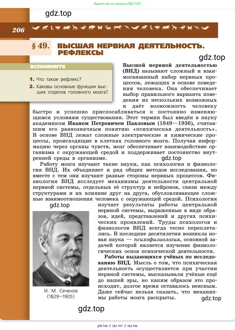 Биология, 8 класс Учебник, авторы: Пасечник Владимир Васильевич, Каменский Андрей Александрович, Швецов Глеб Геннадьевич, издательство Просвещение, Москва, 2019, страница 206