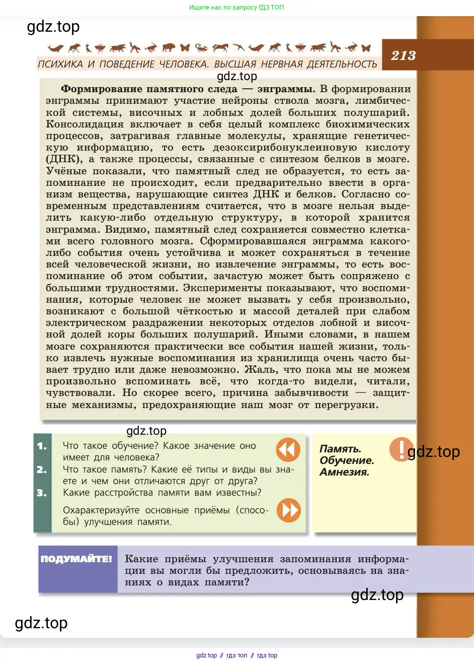 Биология, 8 класс Учебник, авторы: Пасечник Владимир Васильевич, Каменский Андрей Александрович, Швецов Глеб Геннадьевич, издательство Просвещение, Москва, 2019, страница 213