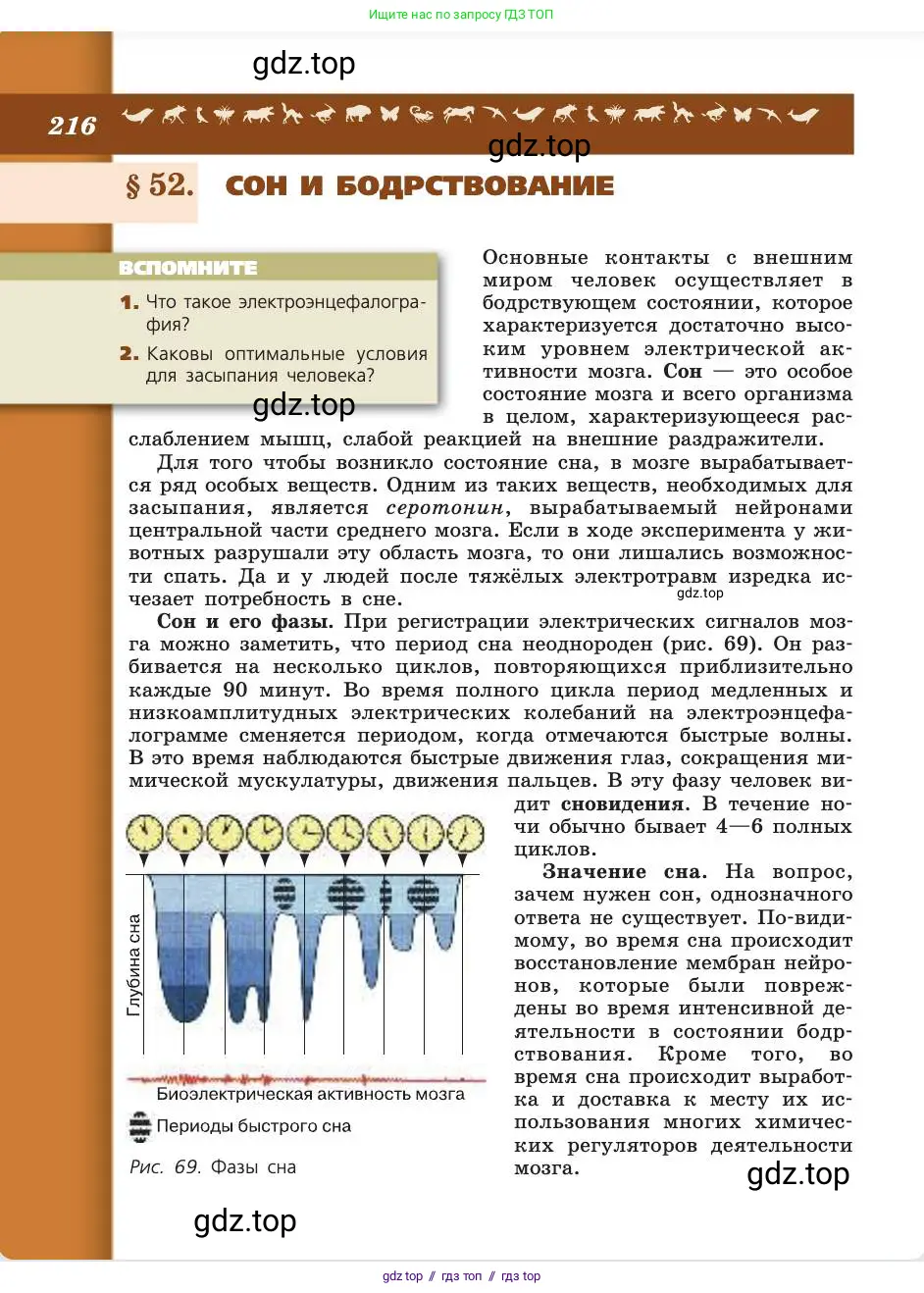 Биология, 8 класс Учебник, авторы: Пасечник Владимир Васильевич, Каменский Андрей Александрович, Швецов Глеб Геннадьевич, издательство Просвещение, Москва, 2019, страница 216