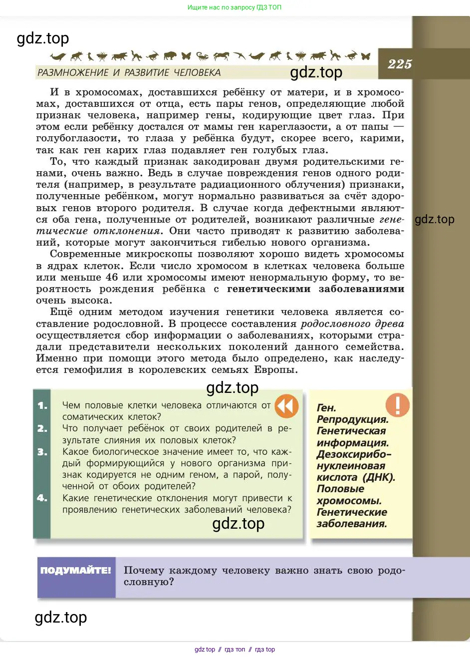 Биология, 8 класс Учебник, авторы: Пасечник Владимир Васильевич, Каменский Андрей Александрович, Швецов Глеб Геннадьевич, издательство Просвещение, Москва, 2019, страница 225