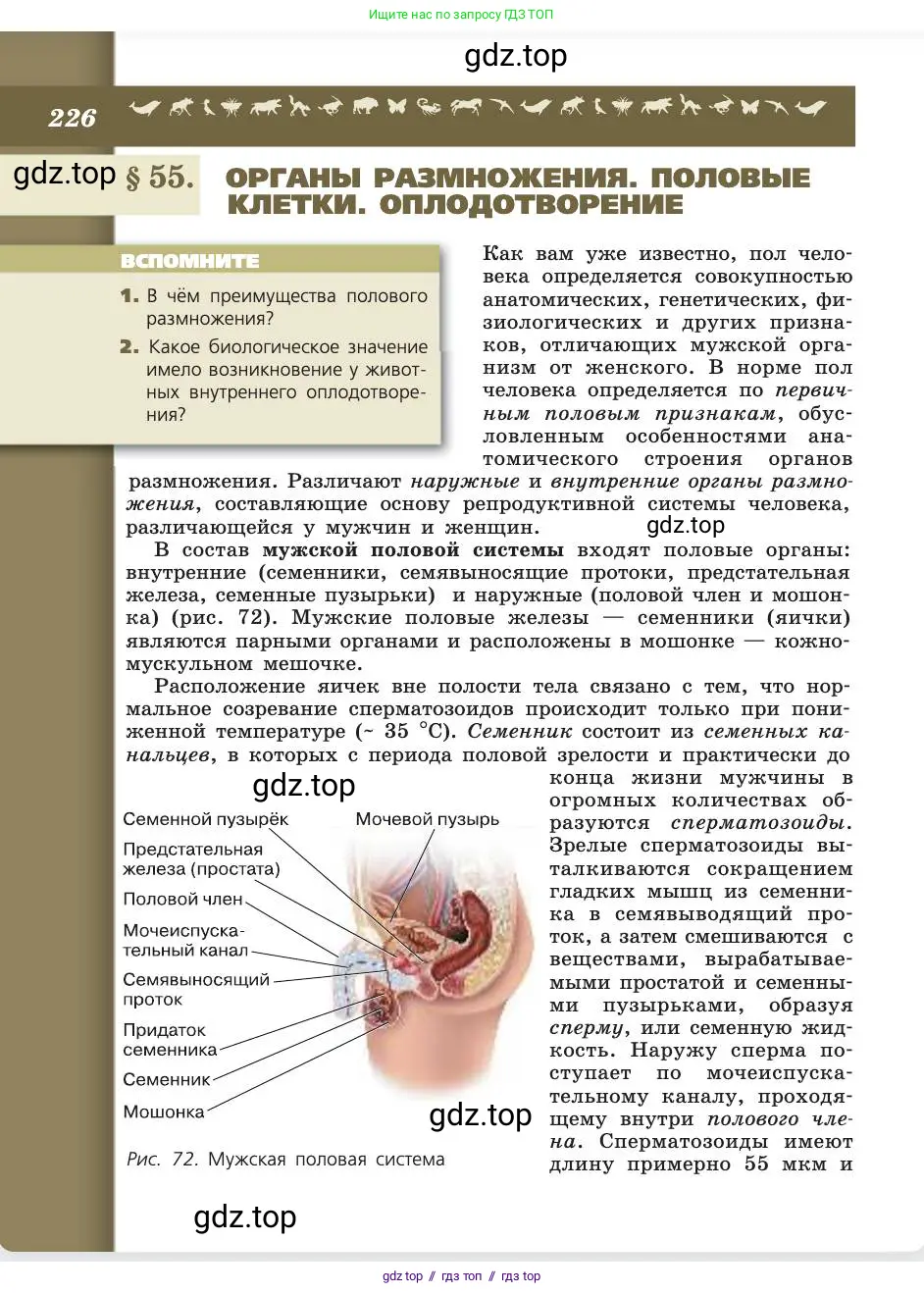 Биология, 8 класс Учебник, авторы: Пасечник Владимир Васильевич, Каменский Андрей Александрович, Швецов Глеб Геннадьевич, издательство Просвещение, Москва, 2019, страница 226