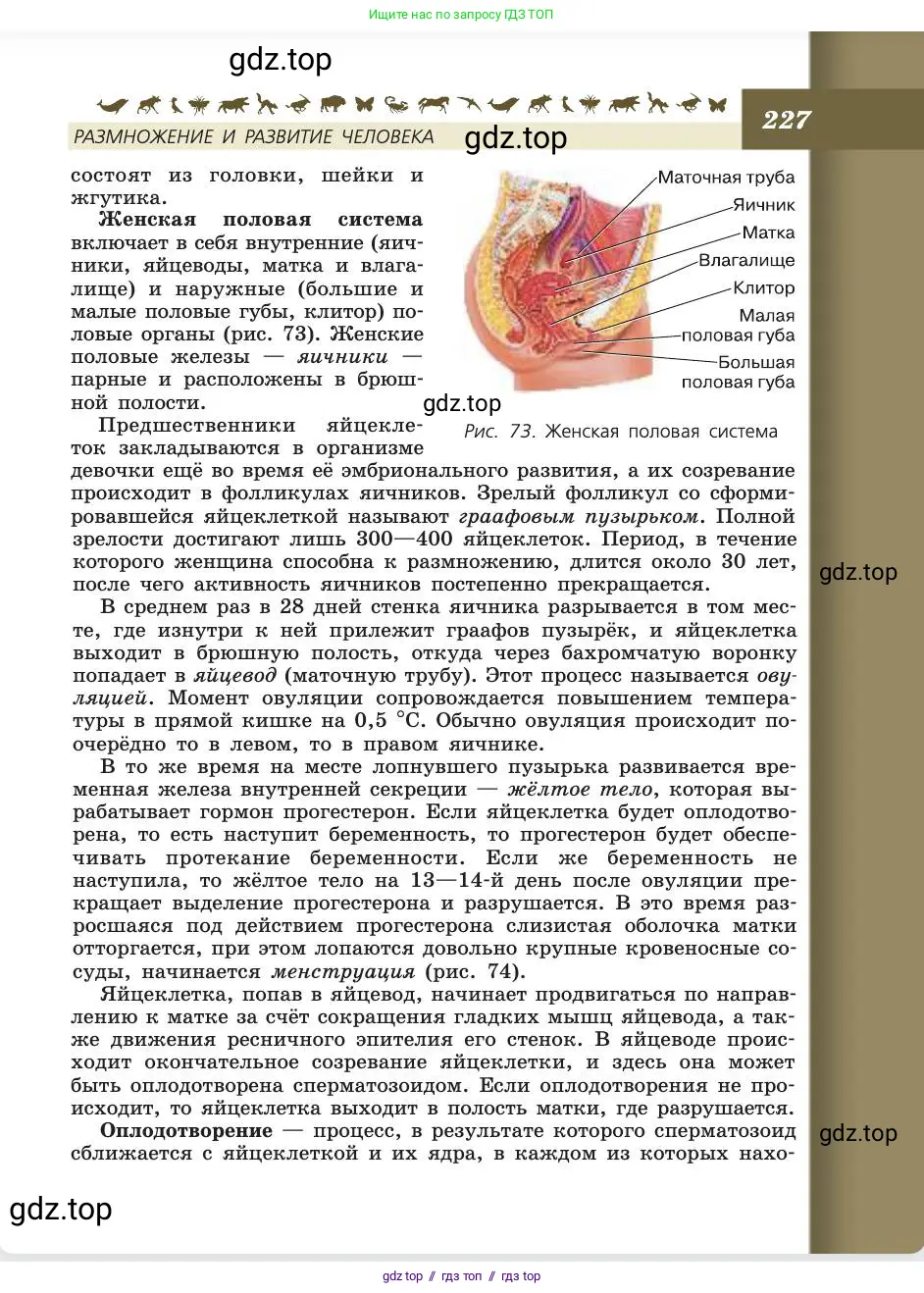 Биология, 8 класс Учебник, авторы: Пасечник Владимир Васильевич, Каменский Андрей Александрович, Швецов Глеб Геннадьевич, издательство Просвещение, Москва, 2019, страница 227