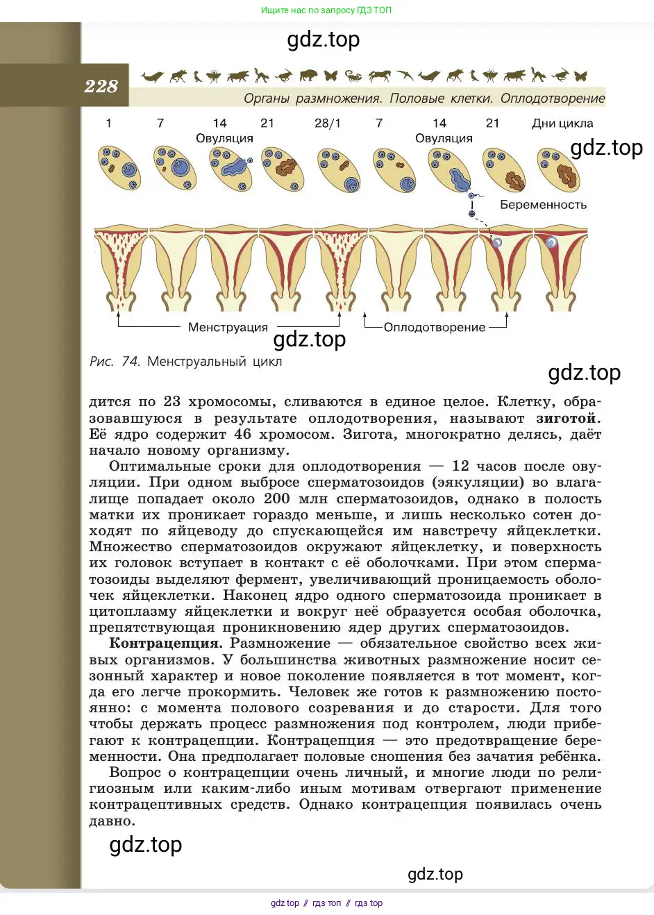 Биология, 8 класс Учебник, авторы: Пасечник Владимир Васильевич, Каменский Андрей Александрович, Швецов Глеб Геннадьевич, издательство Просвещение, Москва, 2019, страница 228