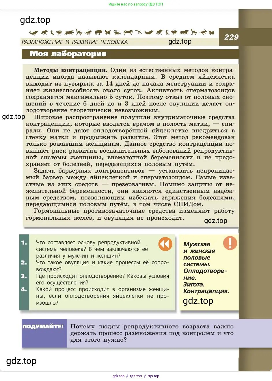 Биология, 8 класс Учебник, авторы: Пасечник Владимир Васильевич, Каменский Андрей Александрович, Швецов Глеб Геннадьевич, издательство Просвещение, Москва, 2019, страница 229