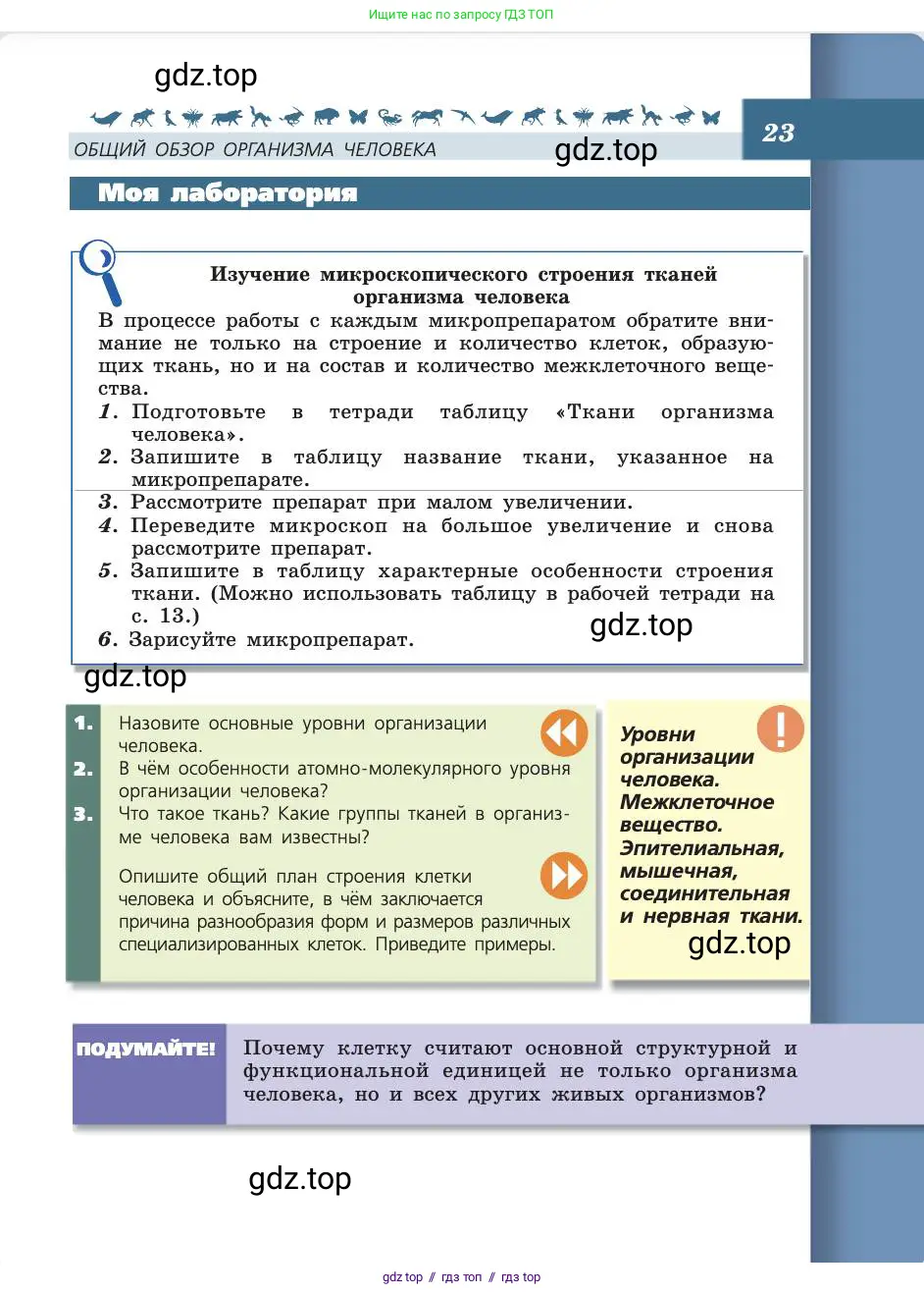 Биология, 8 класс Учебник, авторы: Пасечник Владимир Васильевич, Каменский Андрей Александрович, Швецов Глеб Геннадьевич, издательство Просвещение, Москва, 2019, страница 23