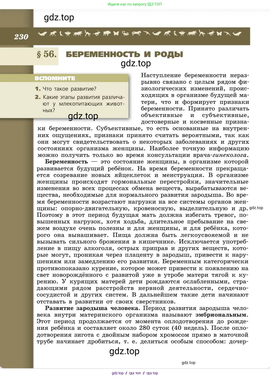 Биология, 8 класс Учебник, авторы: Пасечник Владимир Васильевич, Каменский Андрей Александрович, Швецов Глеб Геннадьевич, издательство Просвещение, Москва, 2019, страница 230