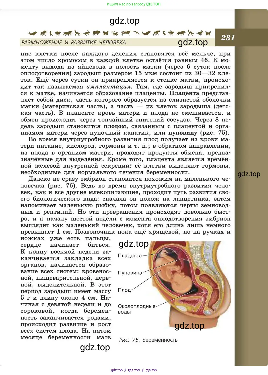 Биология, 8 класс Учебник, авторы: Пасечник Владимир Васильевич, Каменский Андрей Александрович, Швецов Глеб Геннадьевич, издательство Просвещение, Москва, 2019, страница 231