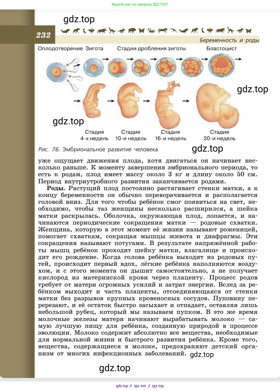 Биология, 8 класс Учебник, авторы: Пасечник Владимир Васильевич, Каменский Андрей Александрович, Швецов Глеб Геннадьевич, издательство Просвещение, Москва, 2019, страница 232