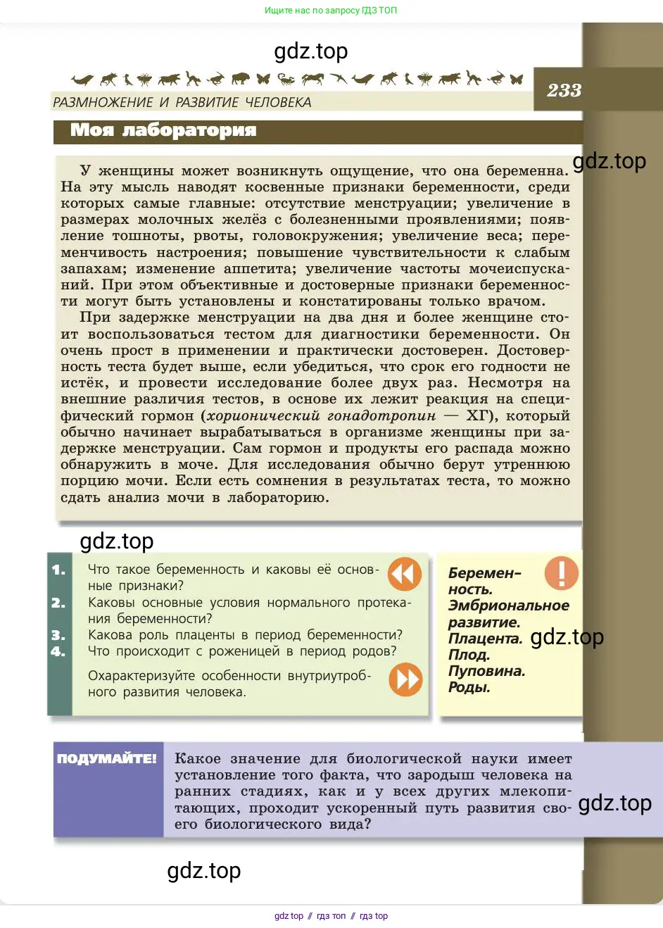 Биология, 8 класс Учебник, авторы: Пасечник Владимир Васильевич, Каменский Андрей Александрович, Швецов Глеб Геннадьевич, издательство Просвещение, Москва, 2019, страница 233