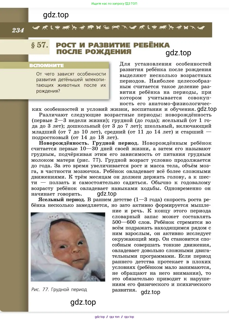 Биология, 8 класс Учебник, авторы: Пасечник Владимир Васильевич, Каменский Андрей Александрович, Швецов Глеб Геннадьевич, издательство Просвещение, Москва, 2019, страница 234