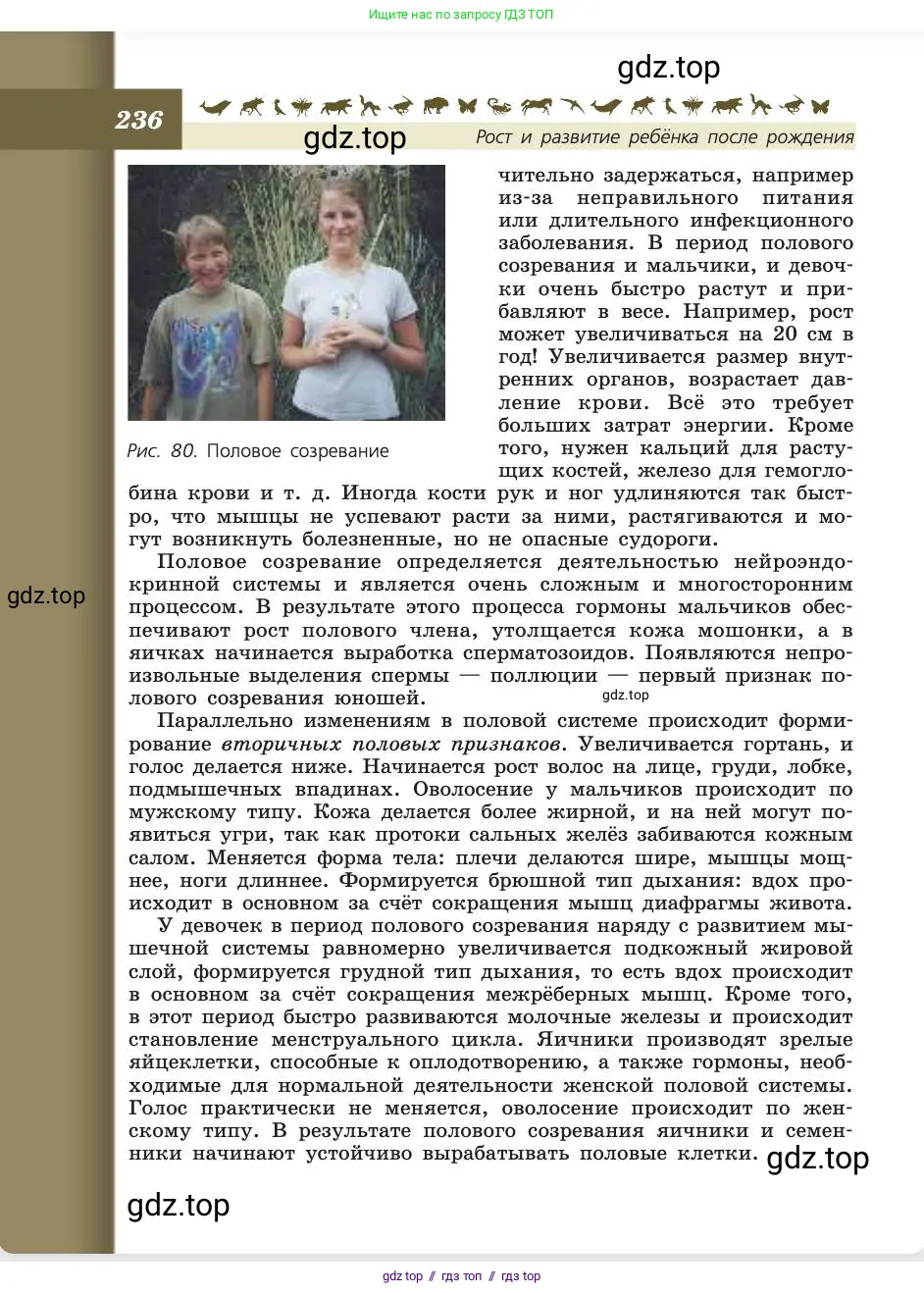 Биология, 8 класс Учебник, авторы: Пасечник Владимир Васильевич, Каменский Андрей Александрович, Швецов Глеб Геннадьевич, издательство Просвещение, Москва, 2019, страница 236
