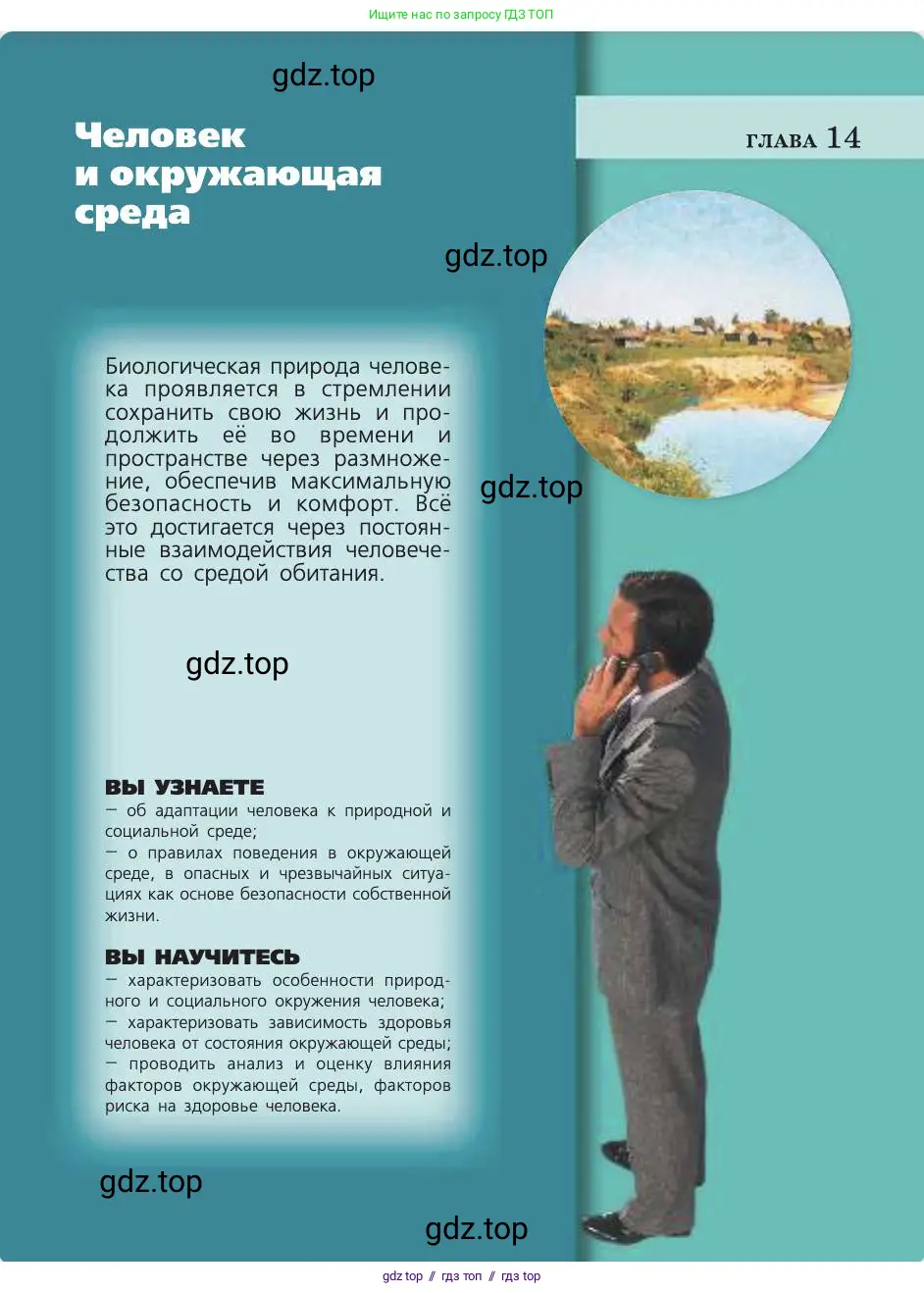 Биология, 8 класс Учебник, авторы: Пасечник Владимир Васильевич, Каменский Андрей Александрович, Швецов Глеб Геннадьевич, издательство Просвещение, Москва, 2019, страница 239