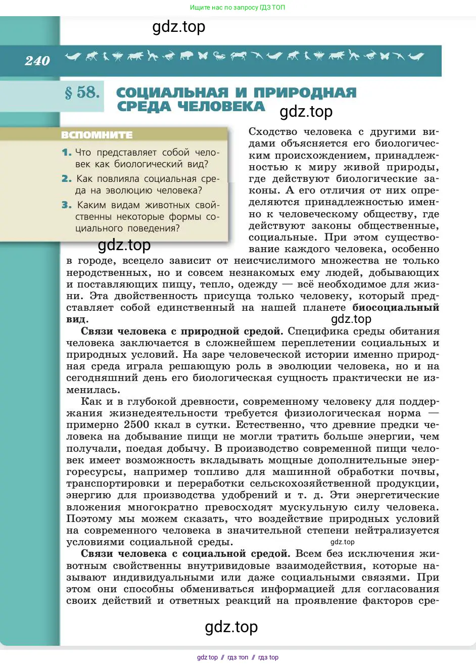 Биология, 8 класс Учебник, авторы: Пасечник Владимир Васильевич, Каменский Андрей Александрович, Швецов Глеб Геннадьевич, издательство Просвещение, Москва, 2019, страница 240