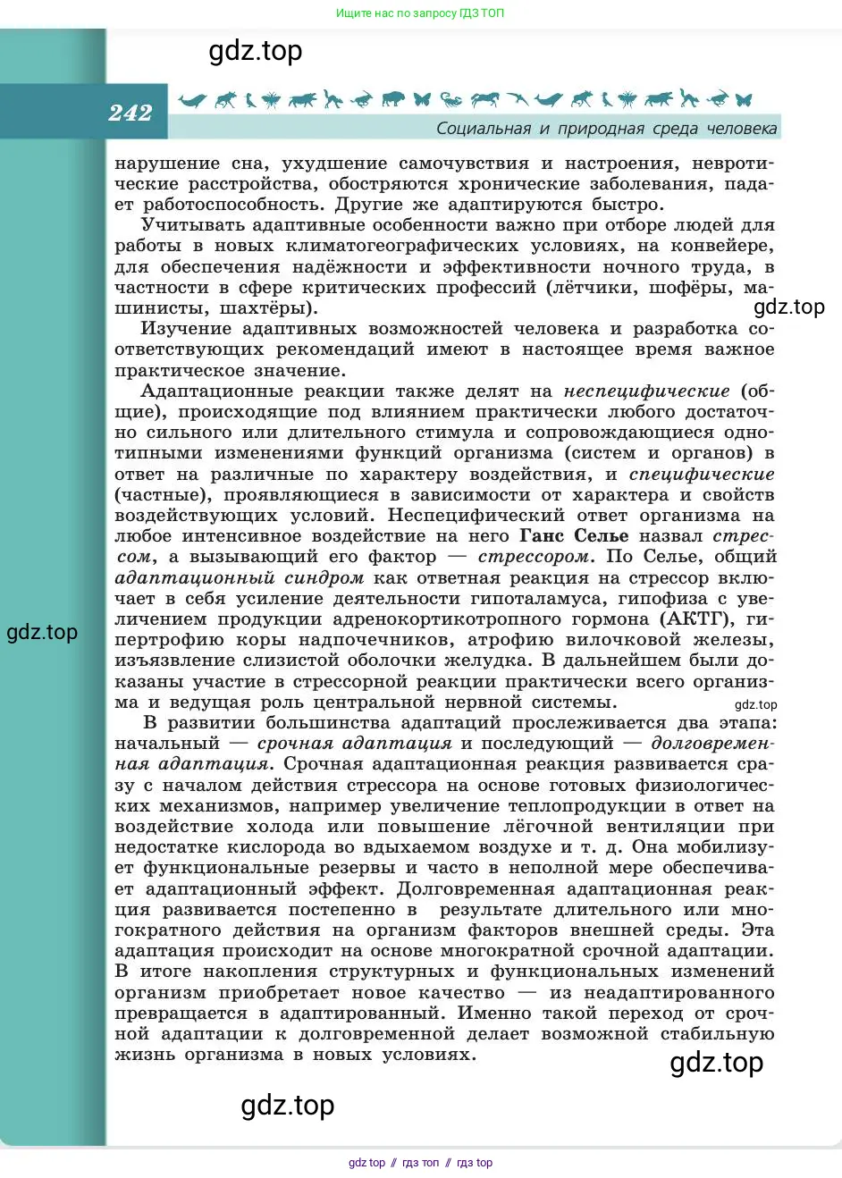 Биология, 8 класс Учебник, авторы: Пасечник Владимир Васильевич, Каменский Андрей Александрович, Швецов Глеб Геннадьевич, издательство Просвещение, Москва, 2019, страница 242
