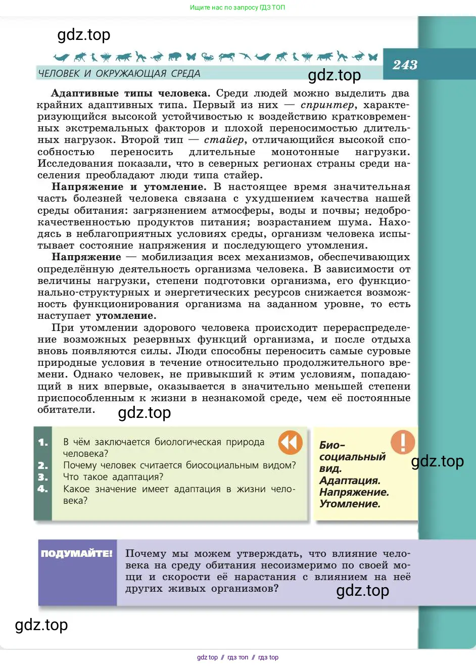 Биология, 8 класс Учебник, авторы: Пасечник Владимир Васильевич, Каменский Андрей Александрович, Швецов Глеб Геннадьевич, издательство Просвещение, Москва, 2019, страница 243