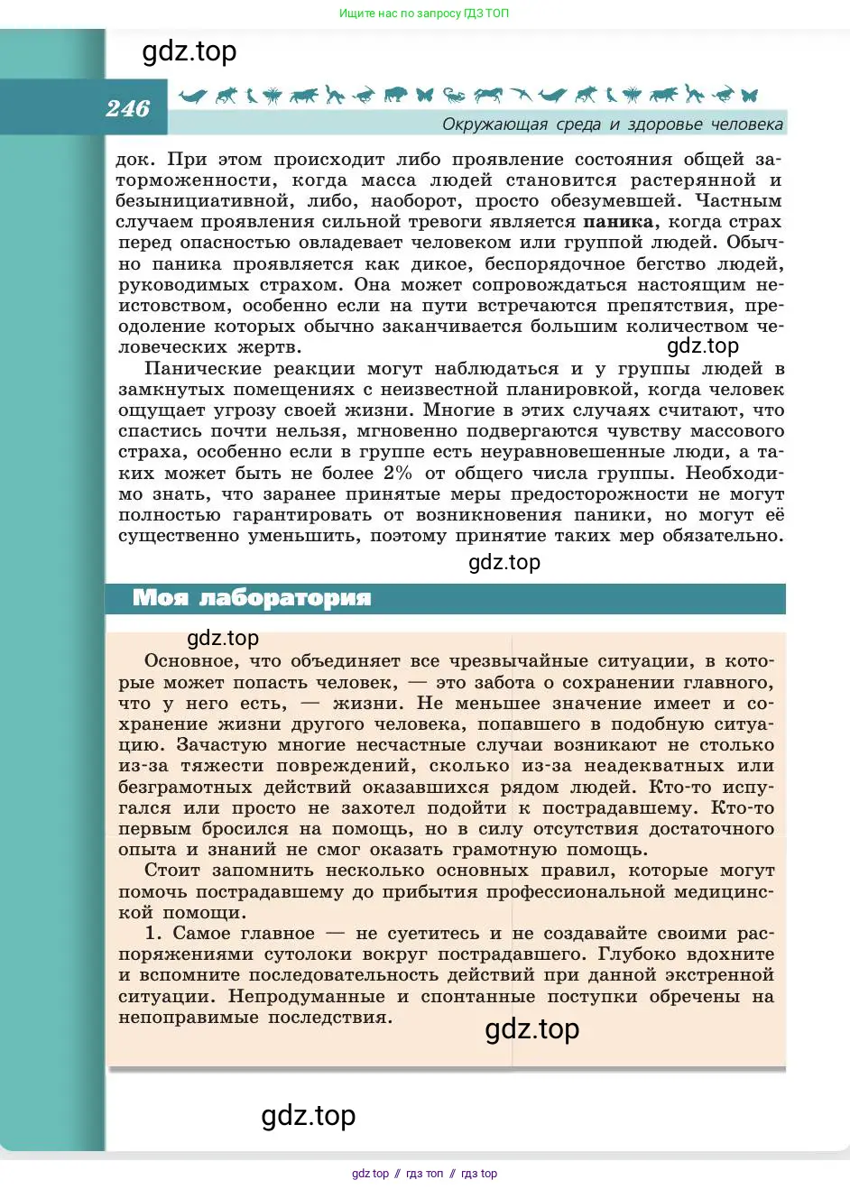 Биология, 8 класс Учебник, авторы: Пасечник Владимир Васильевич, Каменский Андрей Александрович, Швецов Глеб Геннадьевич, издательство Просвещение, Москва, 2019, страница 246