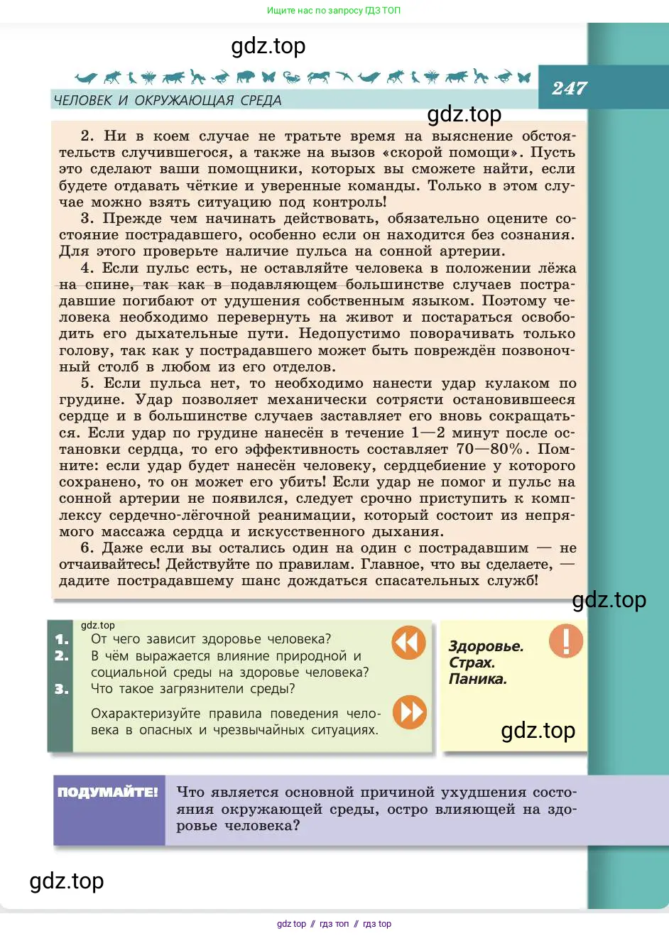 Биология, 8 класс Учебник, авторы: Пасечник Владимир Васильевич, Каменский Андрей Александрович, Швецов Глеб Геннадьевич, издательство Просвещение, Москва, 2019, страница 247