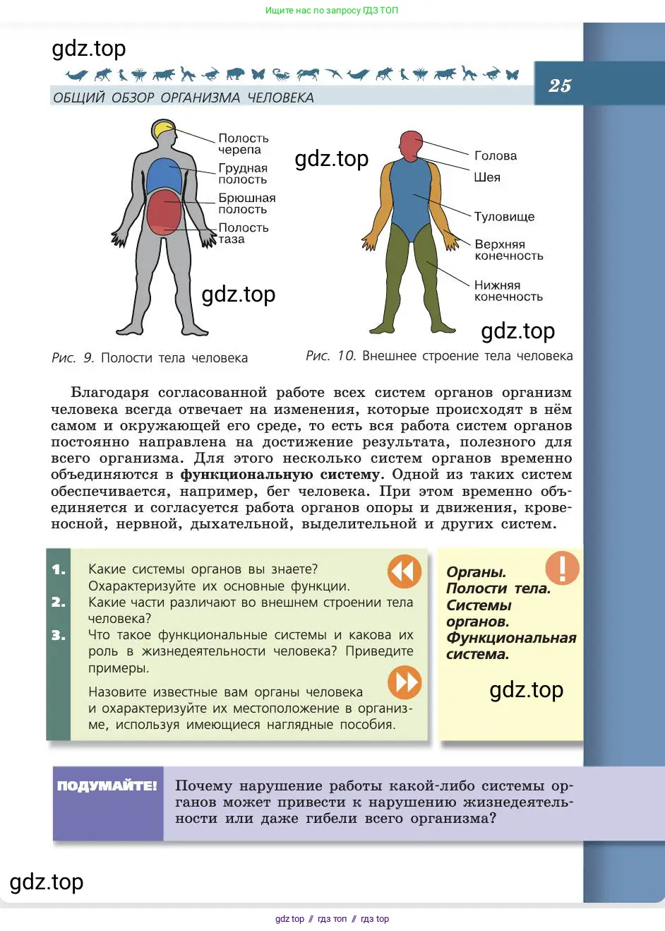Биология, 8 класс Учебник, авторы: Пасечник Владимир Васильевич, Каменский Андрей Александрович, Швецов Глеб Геннадьевич, издательство Просвещение, Москва, 2019, страница 25