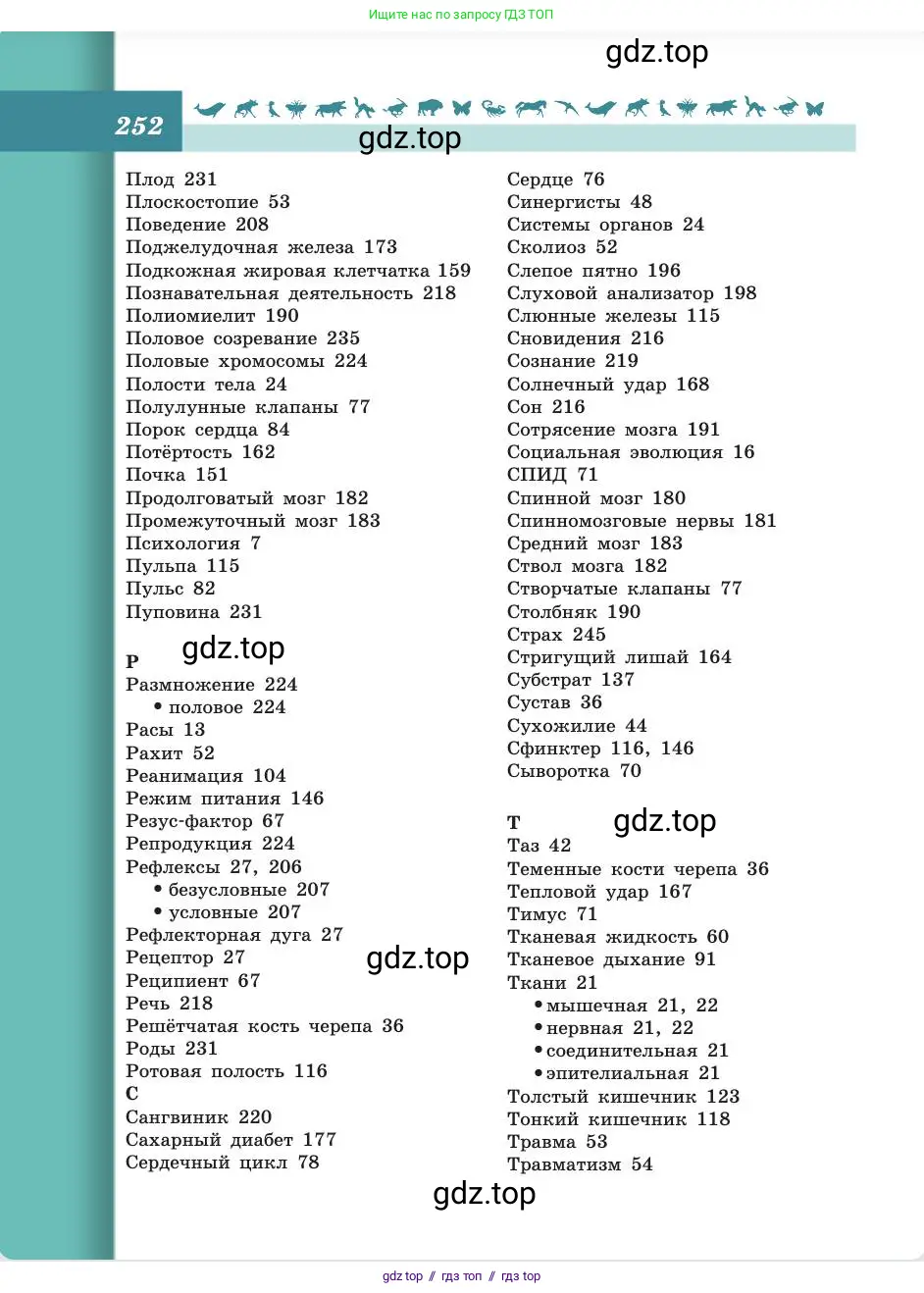 Биология, 8 класс Учебник, авторы: Пасечник Владимир Васильевич, Каменский Андрей Александрович, Швецов Глеб Геннадьевич, издательство Просвещение, Москва, 2019, страница 252
