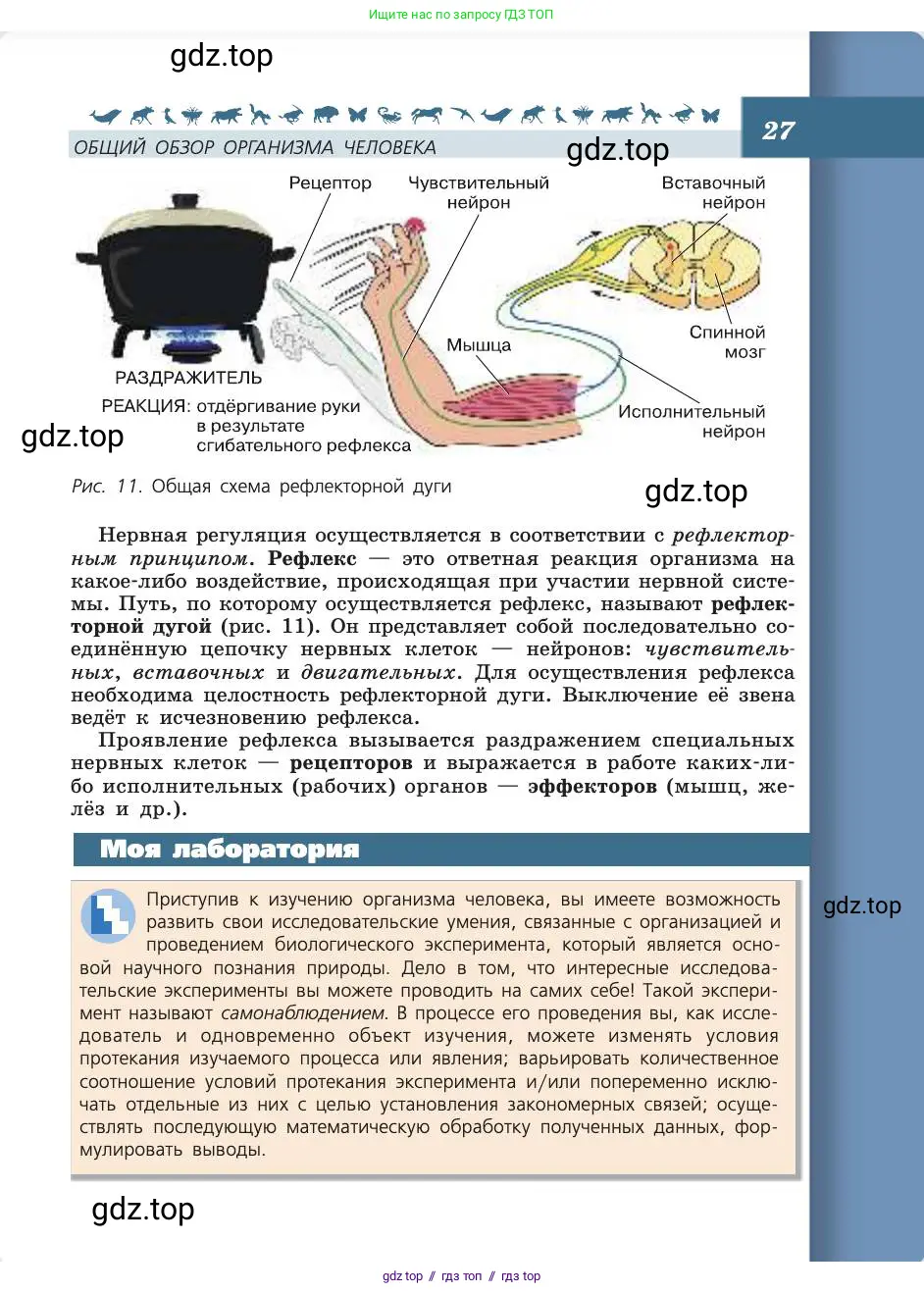 Биология, 8 класс Учебник, авторы: Пасечник Владимир Васильевич, Каменский Андрей Александрович, Швецов Глеб Геннадьевич, издательство Просвещение, Москва, 2019, страница 27