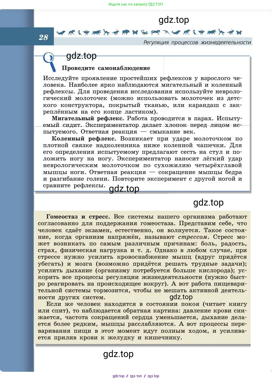 Биология, 8 класс Учебник, авторы: Пасечник Владимир Васильевич, Каменский Андрей Александрович, Швецов Глеб Геннадьевич, издательство Просвещение, Москва, 2019, страница 28