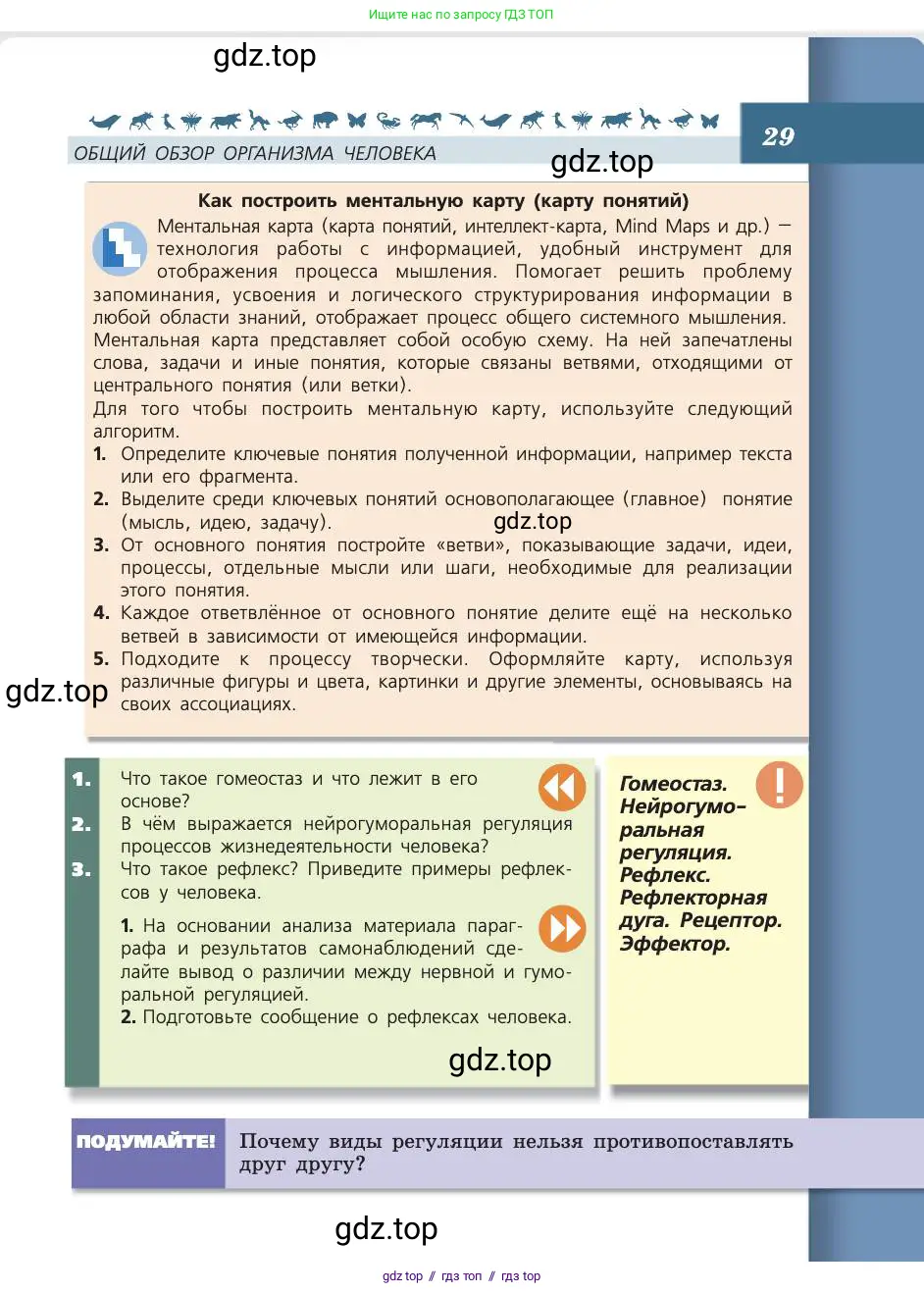 Биология, 8 класс Учебник, авторы: Пасечник Владимир Васильевич, Каменский Андрей Александрович, Швецов Глеб Геннадьевич, издательство Просвещение, Москва, 2019, страница 29