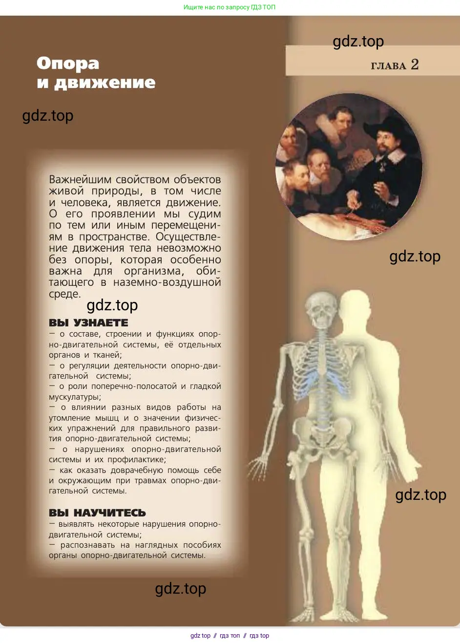 Биология, 8 класс Учебник, авторы: Пасечник Владимир Васильевич, Каменский Андрей Александрович, Швецов Глеб Геннадьевич, издательство Просвещение, Москва, 2019, страница 31