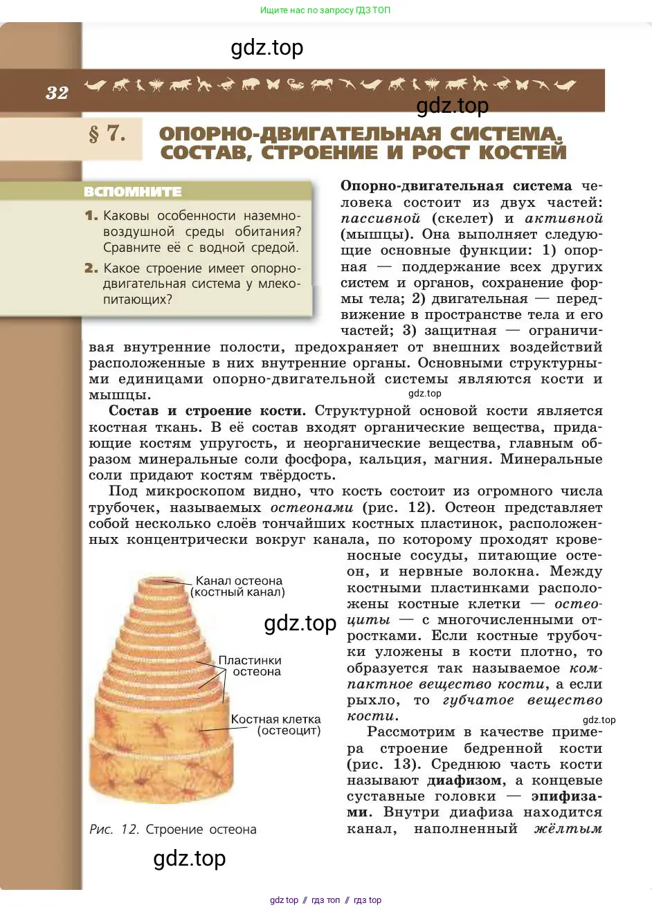 Биология, 8 класс Учебник, авторы: Пасечник Владимир Васильевич, Каменский Андрей Александрович, Швецов Глеб Геннадьевич, издательство Просвещение, Москва, 2019, страница 32