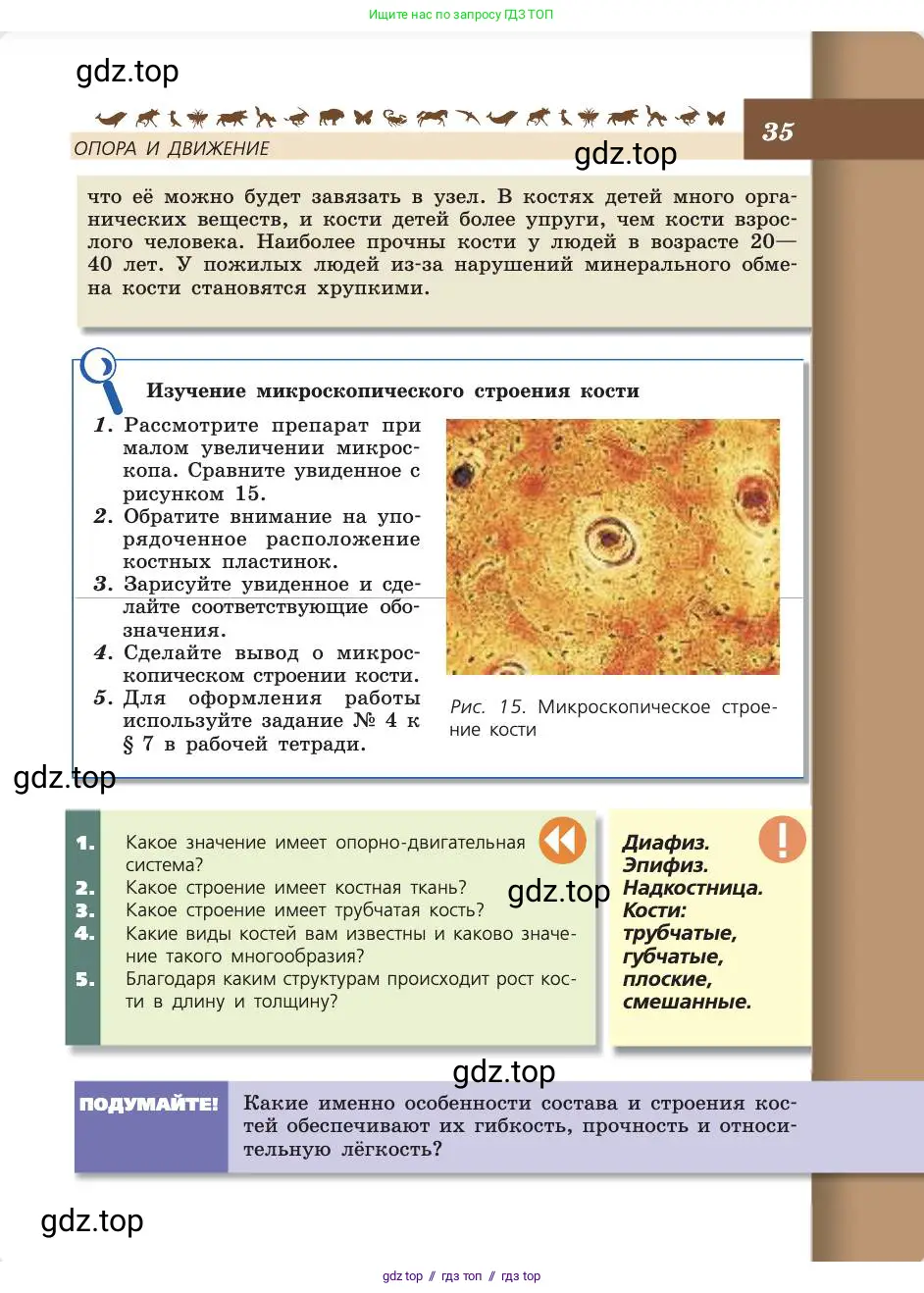 Биология, 8 класс Учебник, авторы: Пасечник Владимир Васильевич, Каменский Андрей Александрович, Швецов Глеб Геннадьевич, издательство Просвещение, Москва, 2019, страница 35