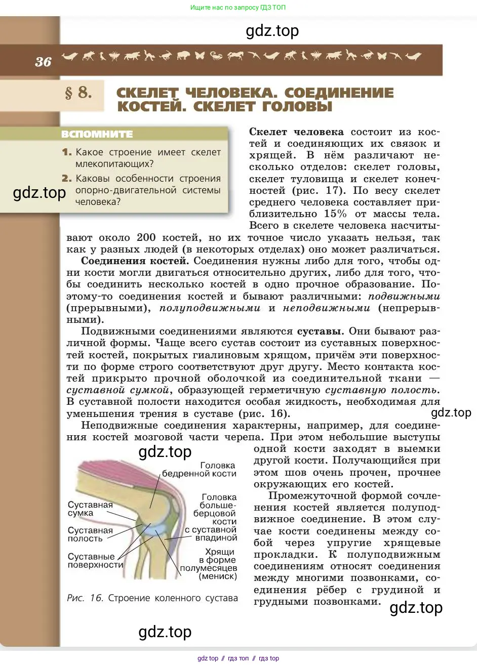 Биология, 8 класс Учебник, авторы: Пасечник Владимир Васильевич, Каменский Андрей Александрович, Швецов Глеб Геннадьевич, издательство Просвещение, Москва, 2019, страница 36