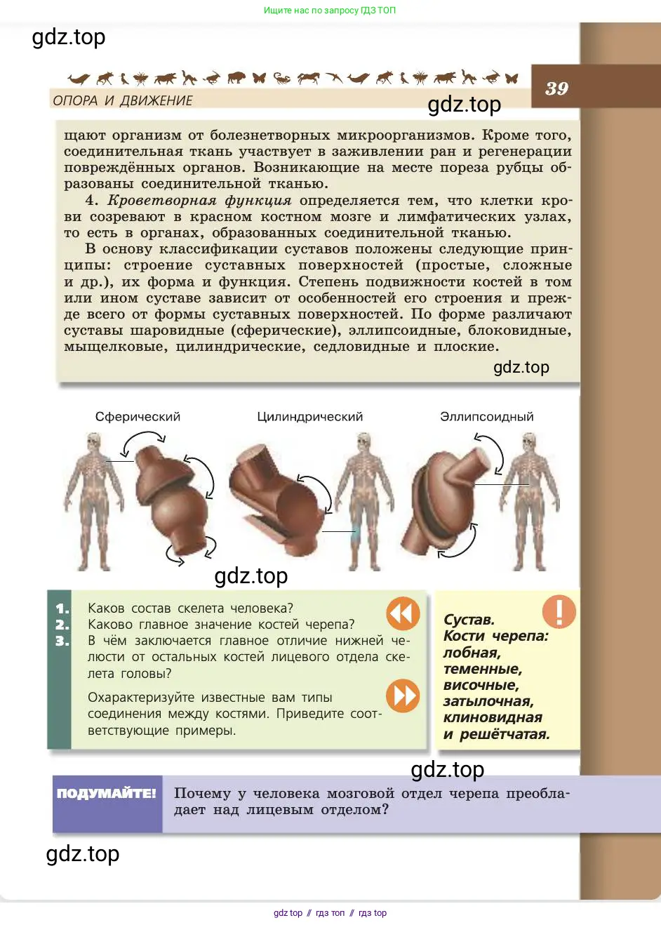 Биология, 8 класс Учебник, авторы: Пасечник Владимир Васильевич, Каменский Андрей Александрович, Швецов Глеб Геннадьевич, издательство Просвещение, Москва, 2019, страница 39