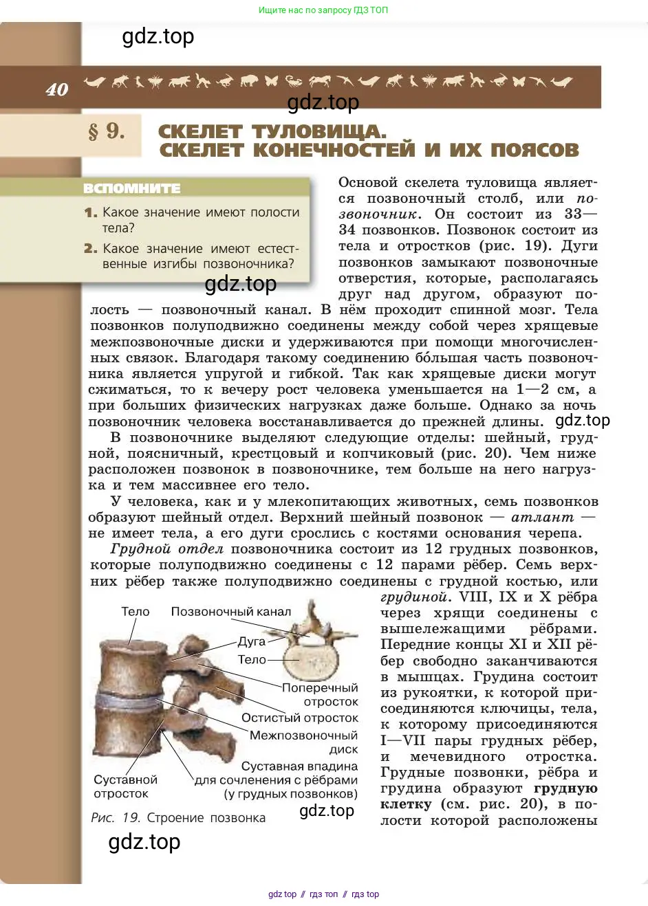 Биология, 8 класс Учебник, авторы: Пасечник Владимир Васильевич, Каменский Андрей Александрович, Швецов Глеб Геннадьевич, издательство Просвещение, Москва, 2019, страница 40