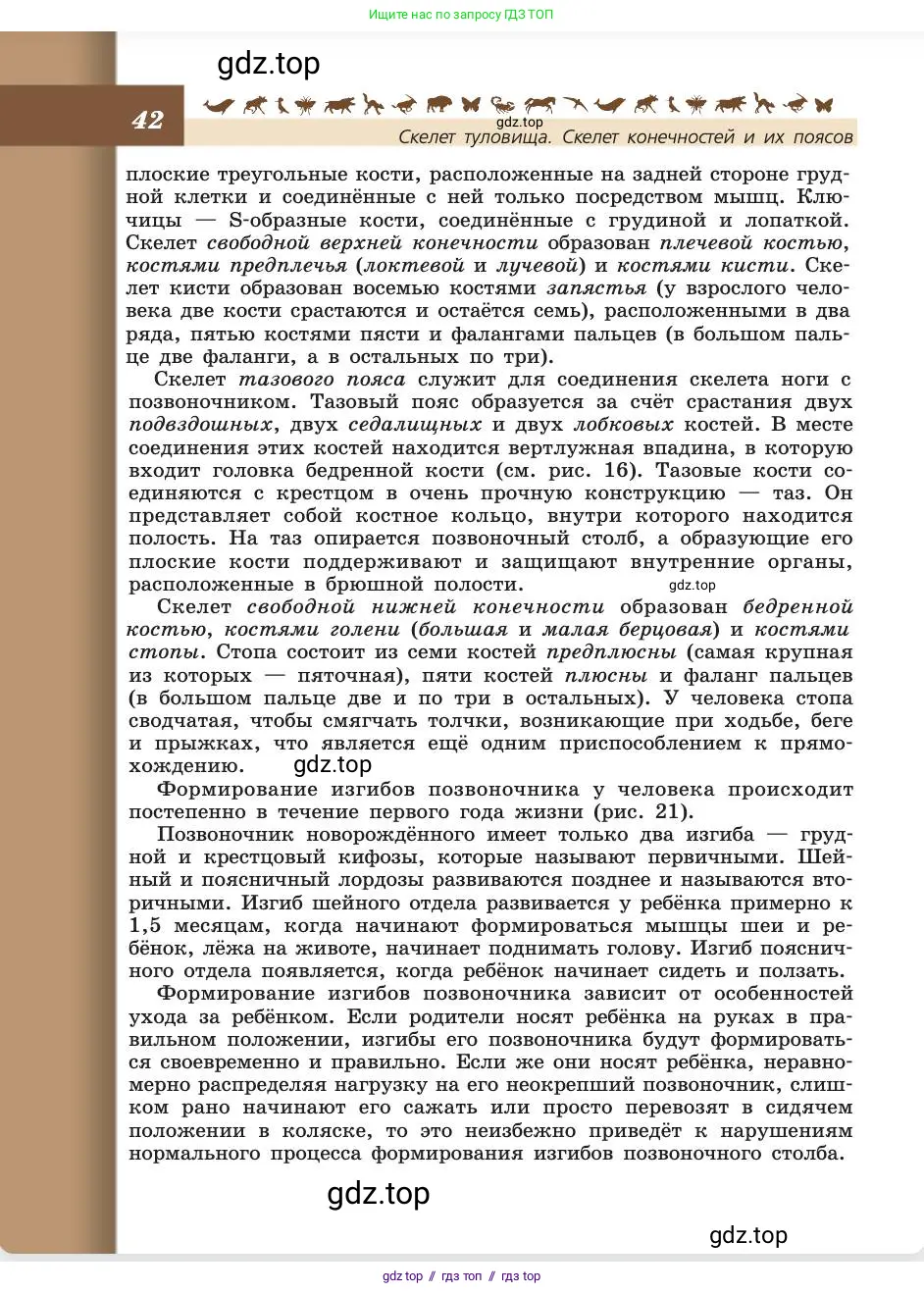 Биология, 8 класс Учебник, авторы: Пасечник Владимир Васильевич, Каменский Андрей Александрович, Швецов Глеб Геннадьевич, издательство Просвещение, Москва, 2019, страница 42